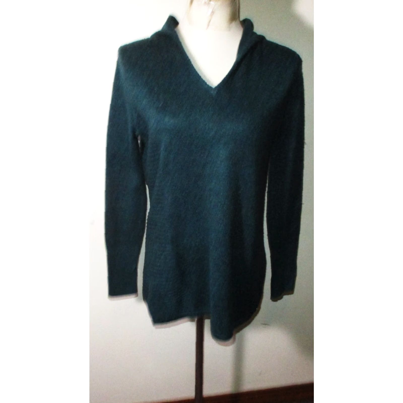 Royal Robbins ROYAL ROBBINS Teal Green Merino Wool Hooded Sweater Women's S Size S / US 4 / IT 40 - 2 Thumbnail