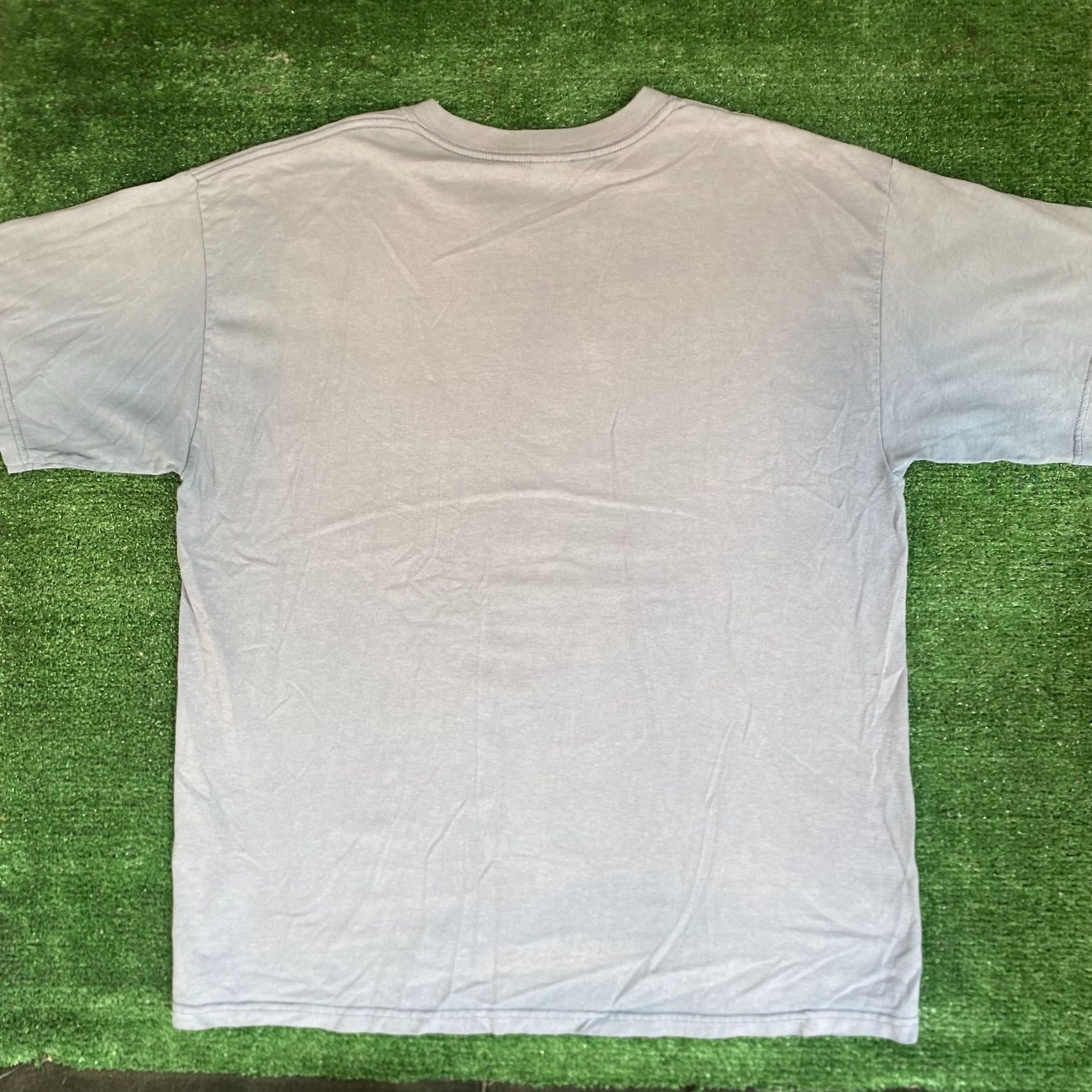 Gildan Vintage Y2K Florida Nature Shirt Animal State Park Tee Size US XL / EU 56 / 4 - 6 Thumbnail