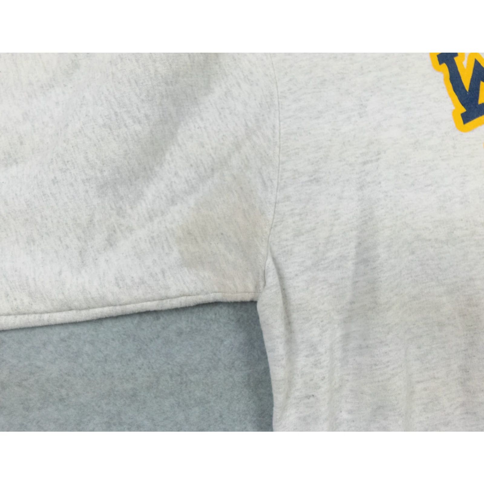 Champion Champion Sweatshirt Adult XL Gray Crewneck Pullover Logo Size US XL / EU 56 / 4 - 5 Thumbnail