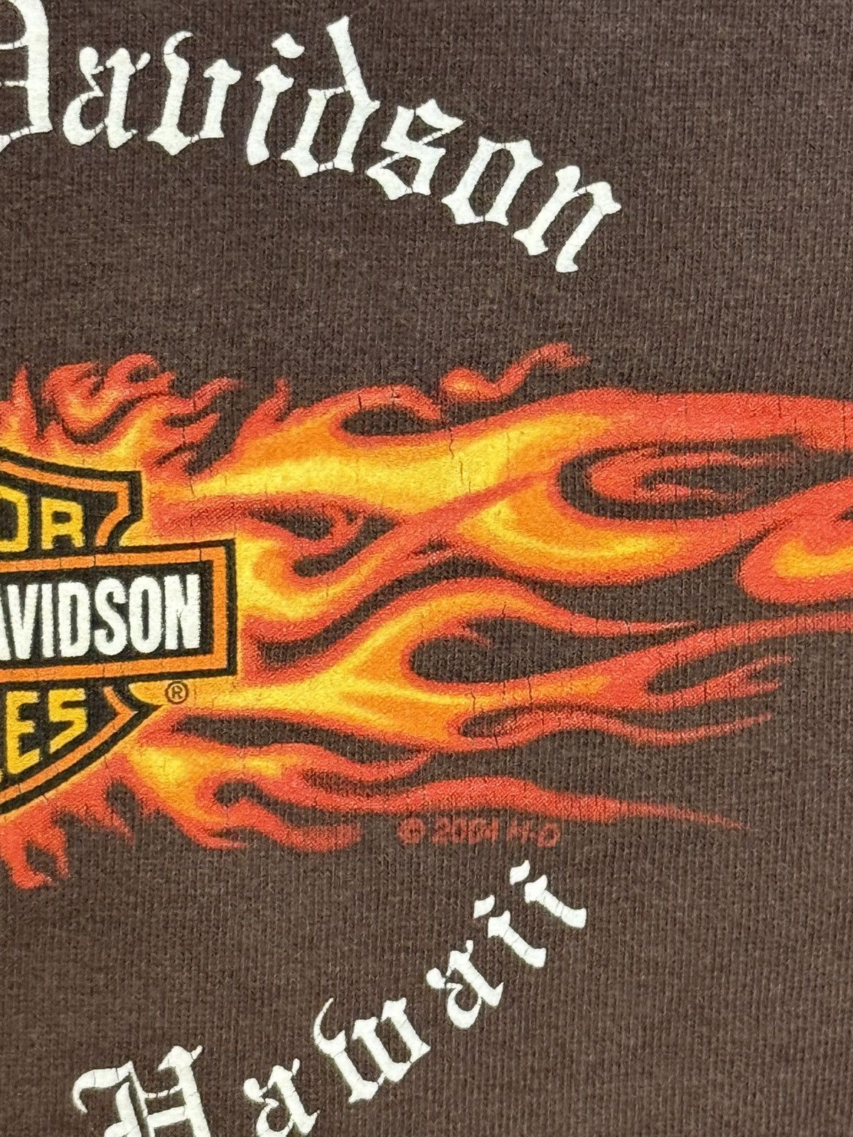 Harley Davidson Harley Davidson Honolulu Pacific Flaming Hoodie Choco Brown Size US M / EU 48-50 / 2 - 6 Thumbnail