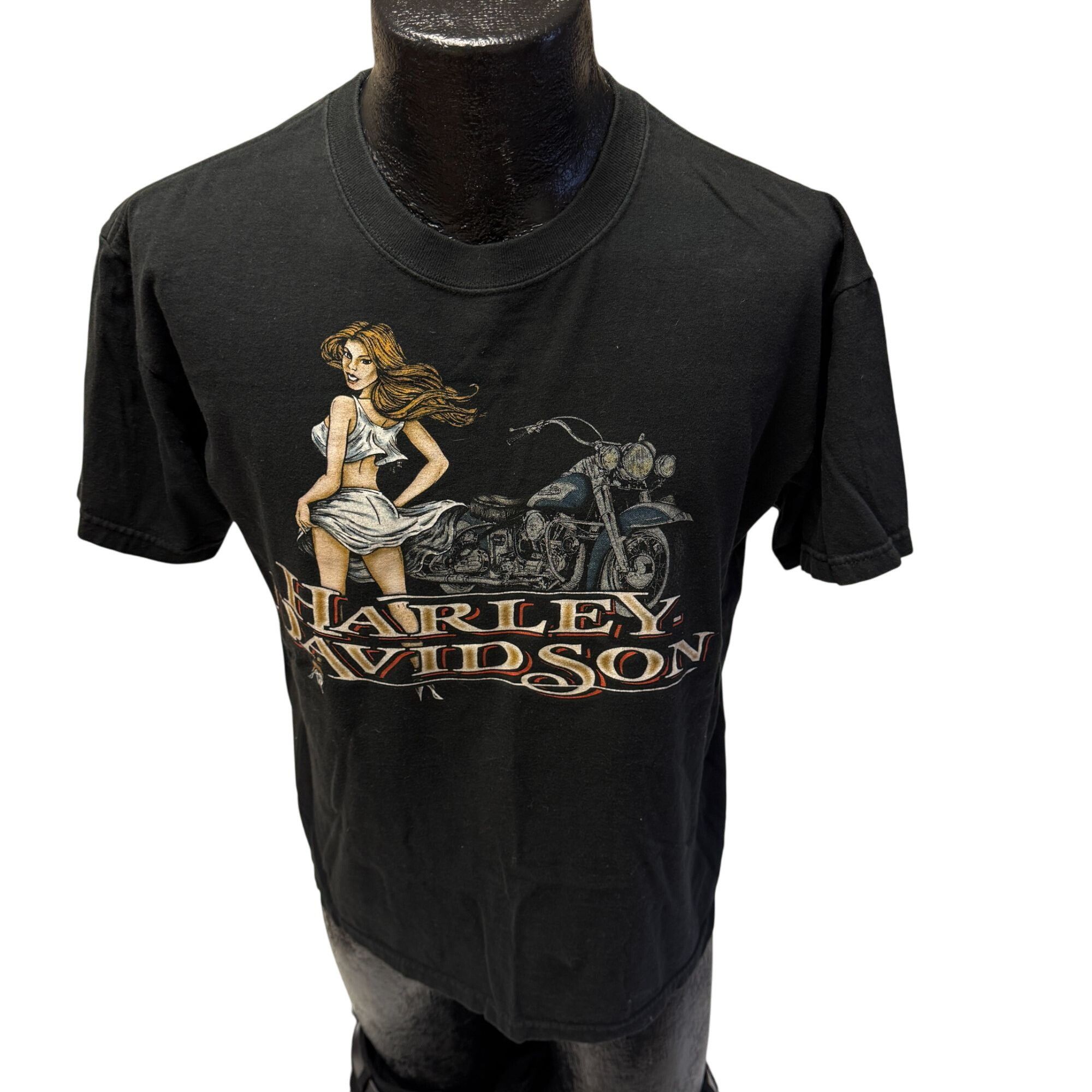 Harley Davidson Y2K Harley Davidson MACON Ga Motorcycle PINUP GIRL T Shirt Size US M / EU 48-50 / 2 - 2 Thumbnail