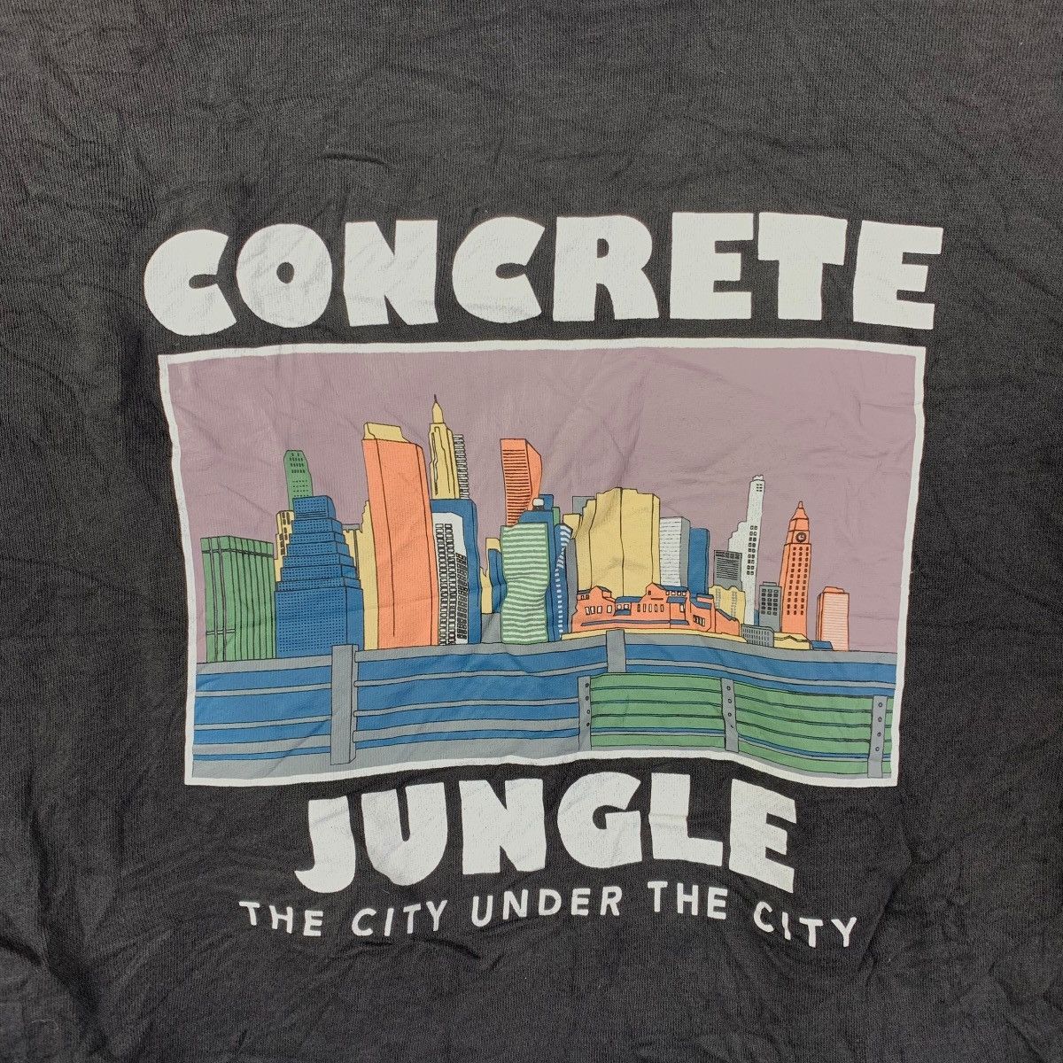Other CPCM “Concrete Jungle” Hoodie Black Size US M / EU 48-50 / 2 - 5 Thumbnail