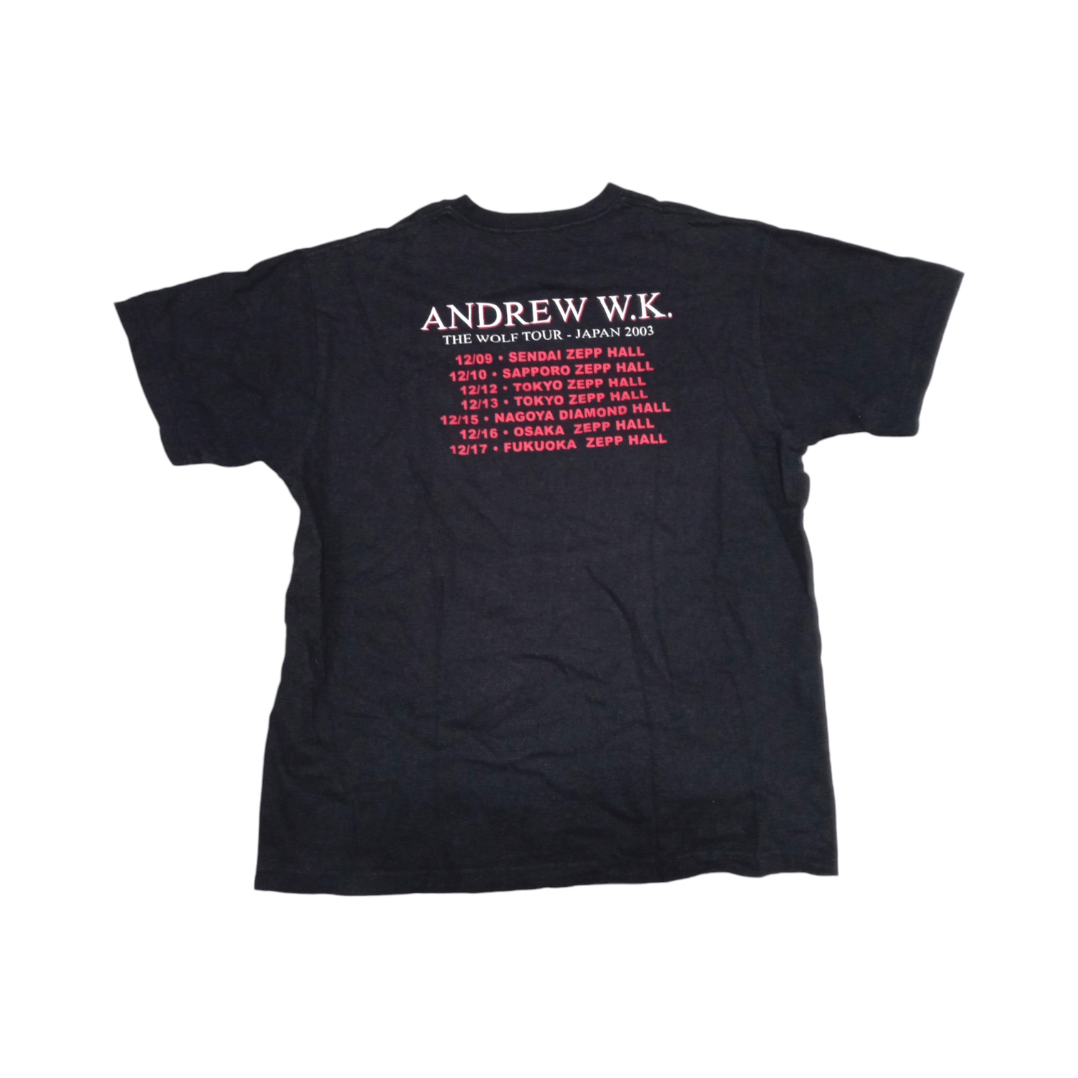 Band Tees × Vintage Vintage 2000s Andrew W.K. 2003 Tour T Shirt Size US L / EU 52-54 / 3 - 2 Thumbnail
