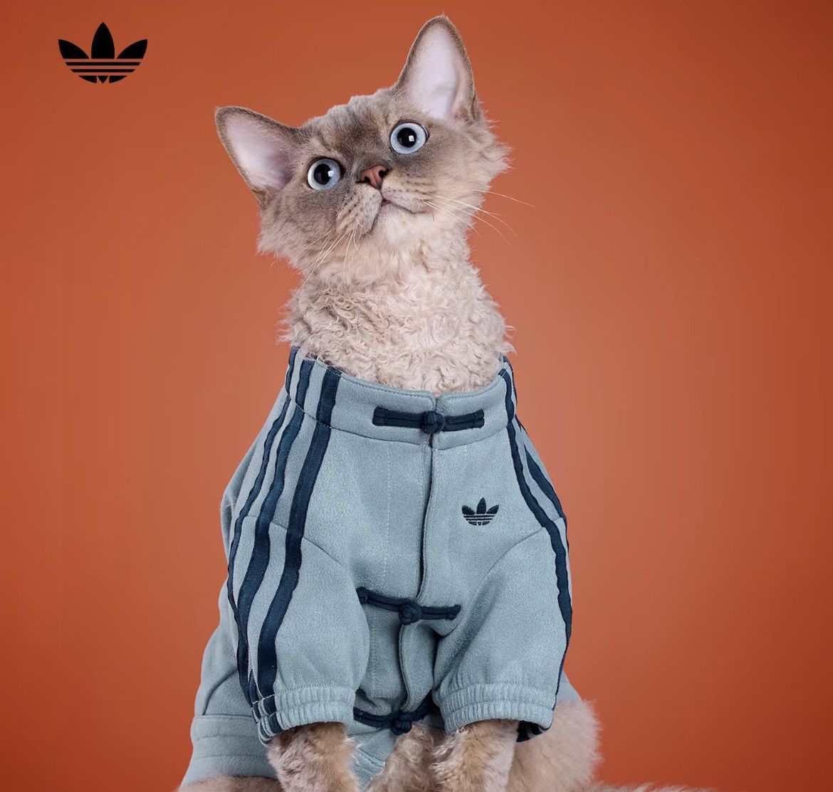 Adidas Adidas Pet CTT Chinese Style Soft Track Top Blue size M Size ONE SIZE - 1 Thumbnail