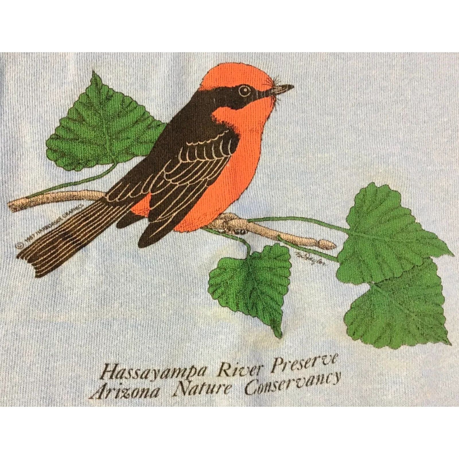 Hanes VINTAGE Arizona Nature Conservancy Bird Sweatshirt M USA Animal Art Grunge 90s Shirt Men M Blue Hanes Crew Neck Long Sleeve Size US M / EU 48-50 / 2 - 2 Thumbnail