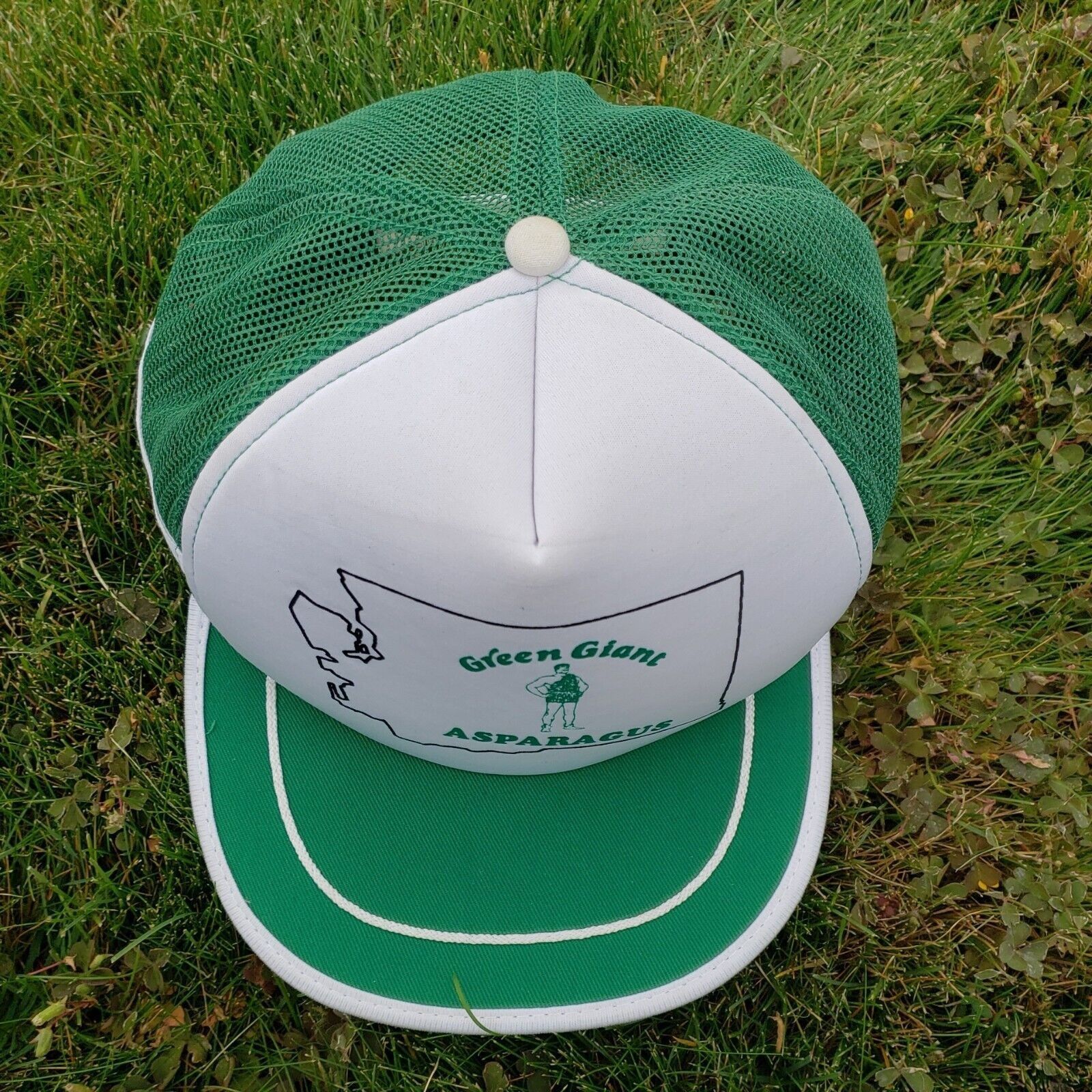 Vintage 3 Stripe 5 Panel Hat Green Giant Asparagus Snapback Foam Vin Size ONE SIZE - 7 Thumbnail
