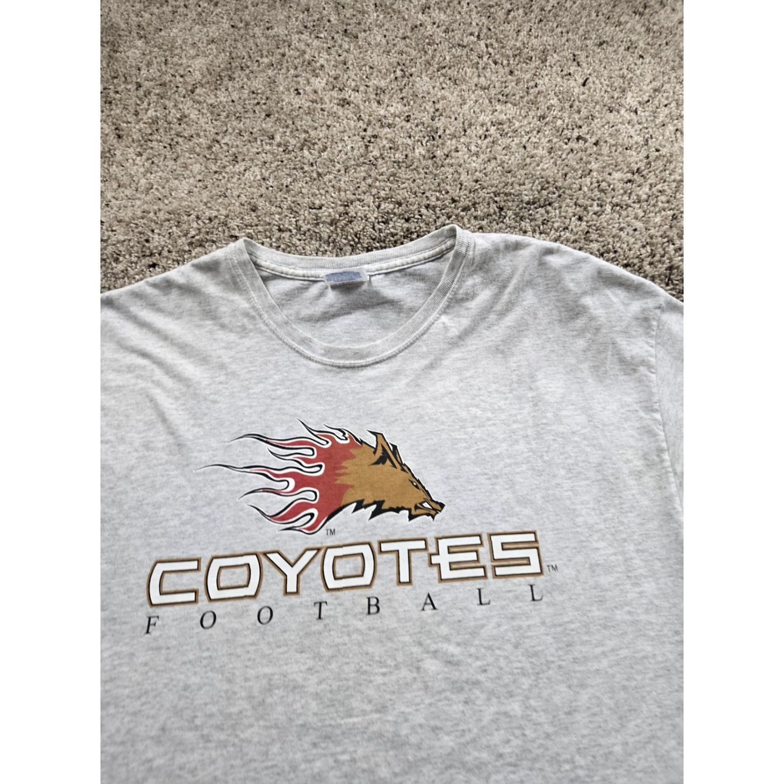 Hanes VINTAGE Central Valley Coyotes T Shirt Mens XL Gray AF2 Arena Football 2006 Size US XL / EU 56 / 4 - 4 Thumbnail