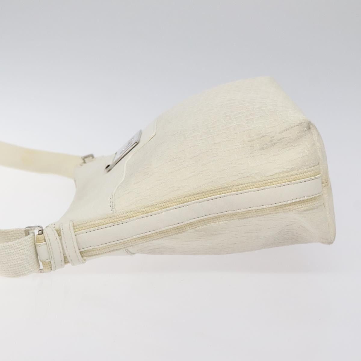 Dior DIOR Trotter Canvas Shoulder Bag White Silver Size ONE SIZE - 5 Thumbnail
