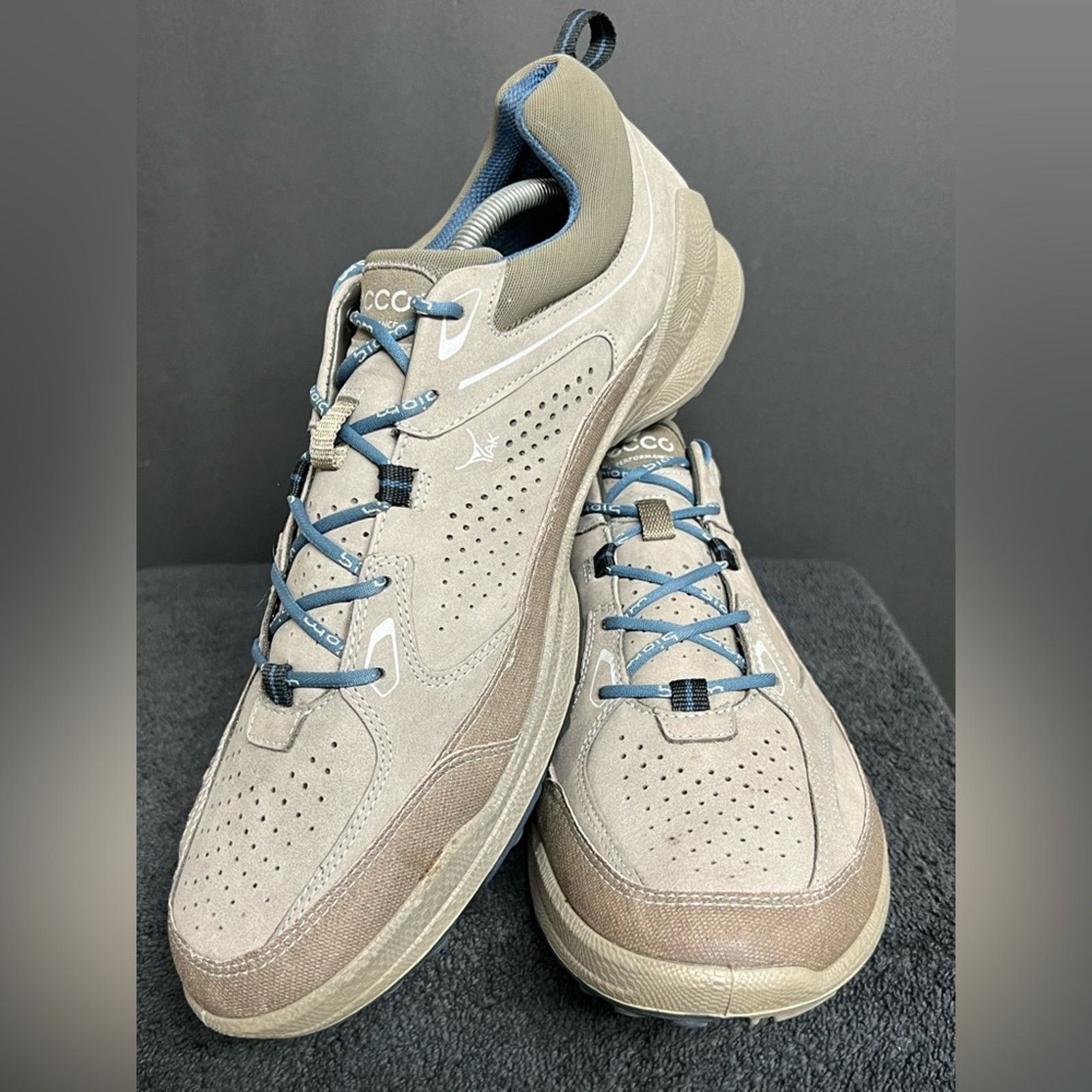 Ecco Ecco Gore-Tex Men’s Biom Performance Terrain Size 45 US 11 Size US 11 / EU 44 - 3 Thumbnail