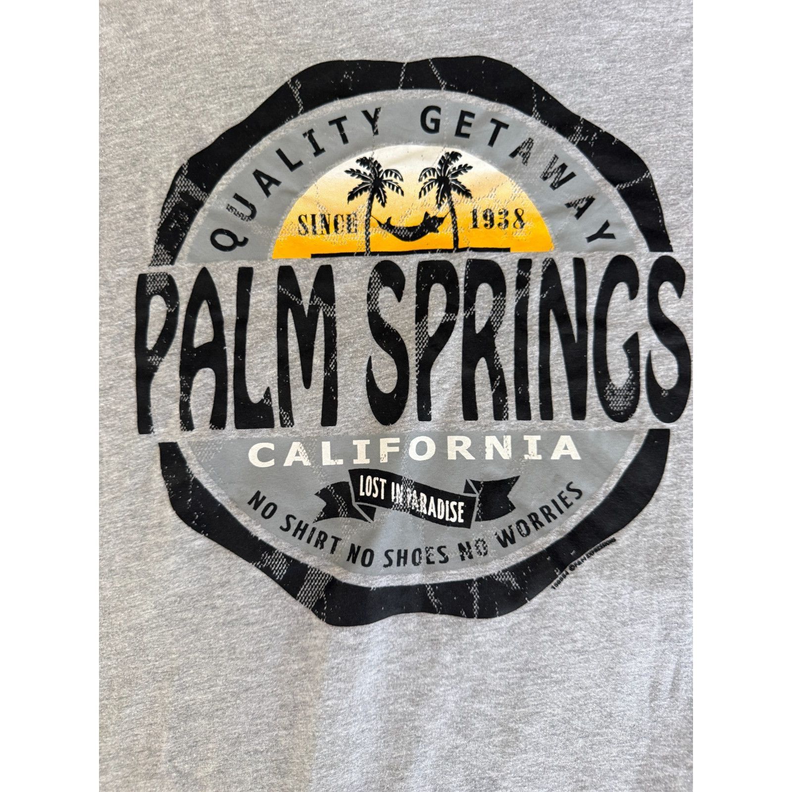 Next Level Palm Springs California T Shirt Mens XL Gray Next Level Gra Size US XL / EU 56 / 4 - 4 Thumbnail