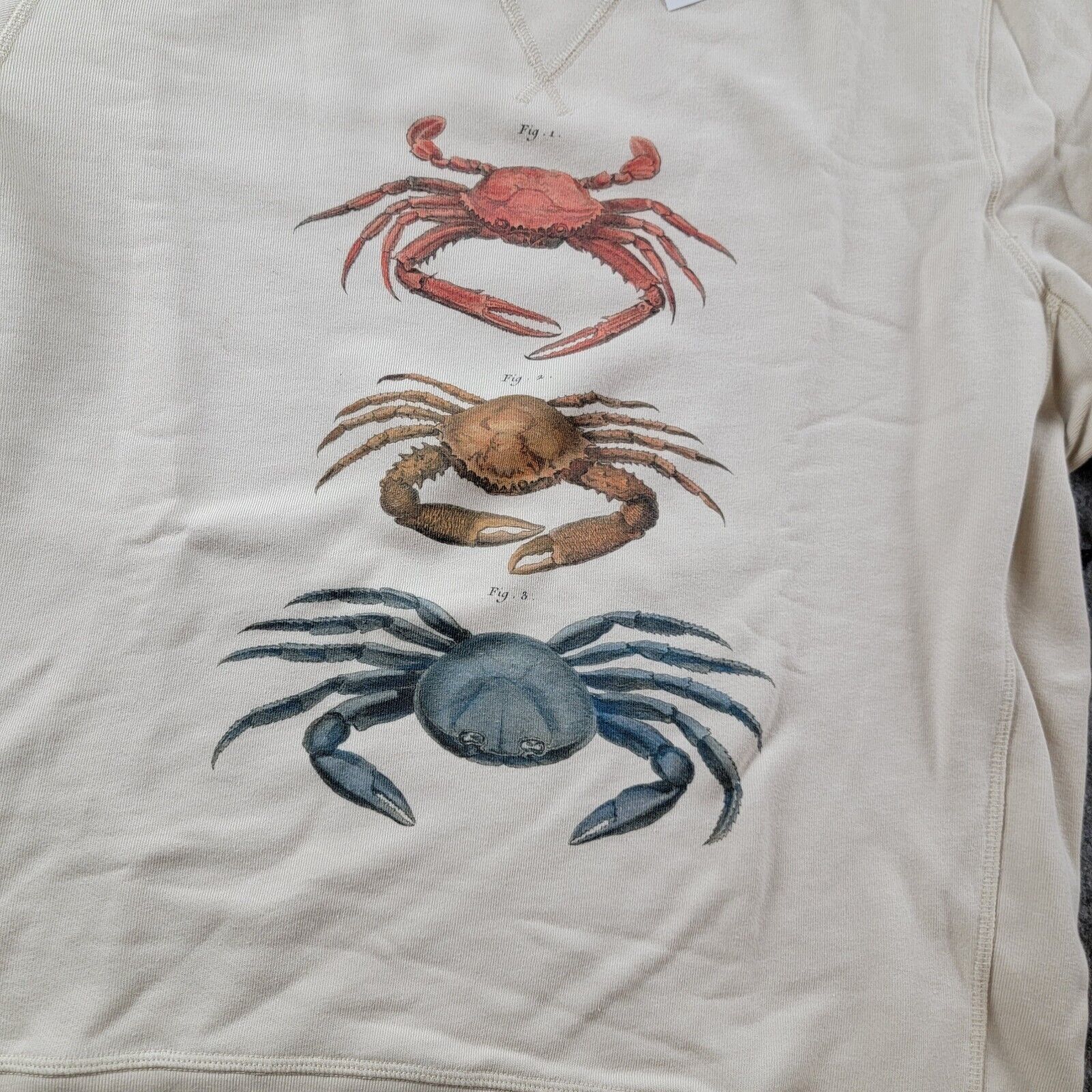 Todd Snyder Todd Snyder x John Derian Crab Print Sweatshirt Size US XL / EU 56 / 4 - 9 Thumbnail