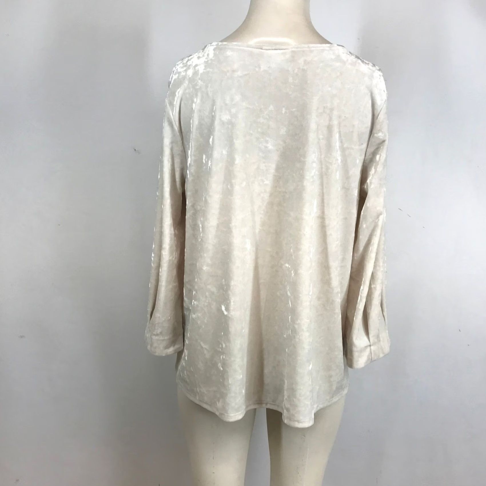 J. Jill J. Jill Womens Champagne Velvet Scoop Neck Blouse Top Medium Size M / US 6-8 / IT 42-44 - 5 Thumbnail