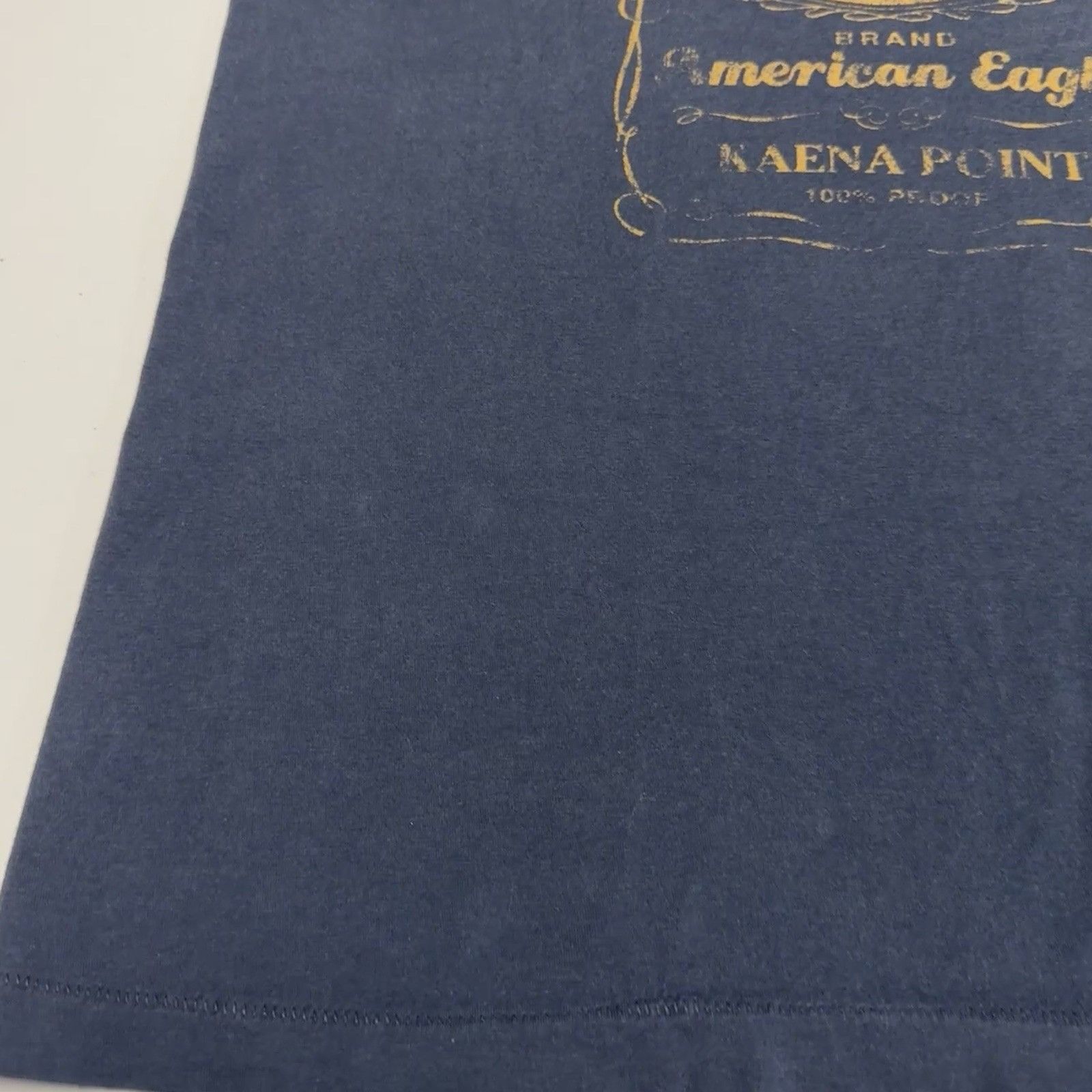 American Eagle Outfitters American Eagle Outfitters T Shirt Small 20.5x27.5 Blue Islan Size US S / EU 44-46 / 1 - 7 Thumbnail