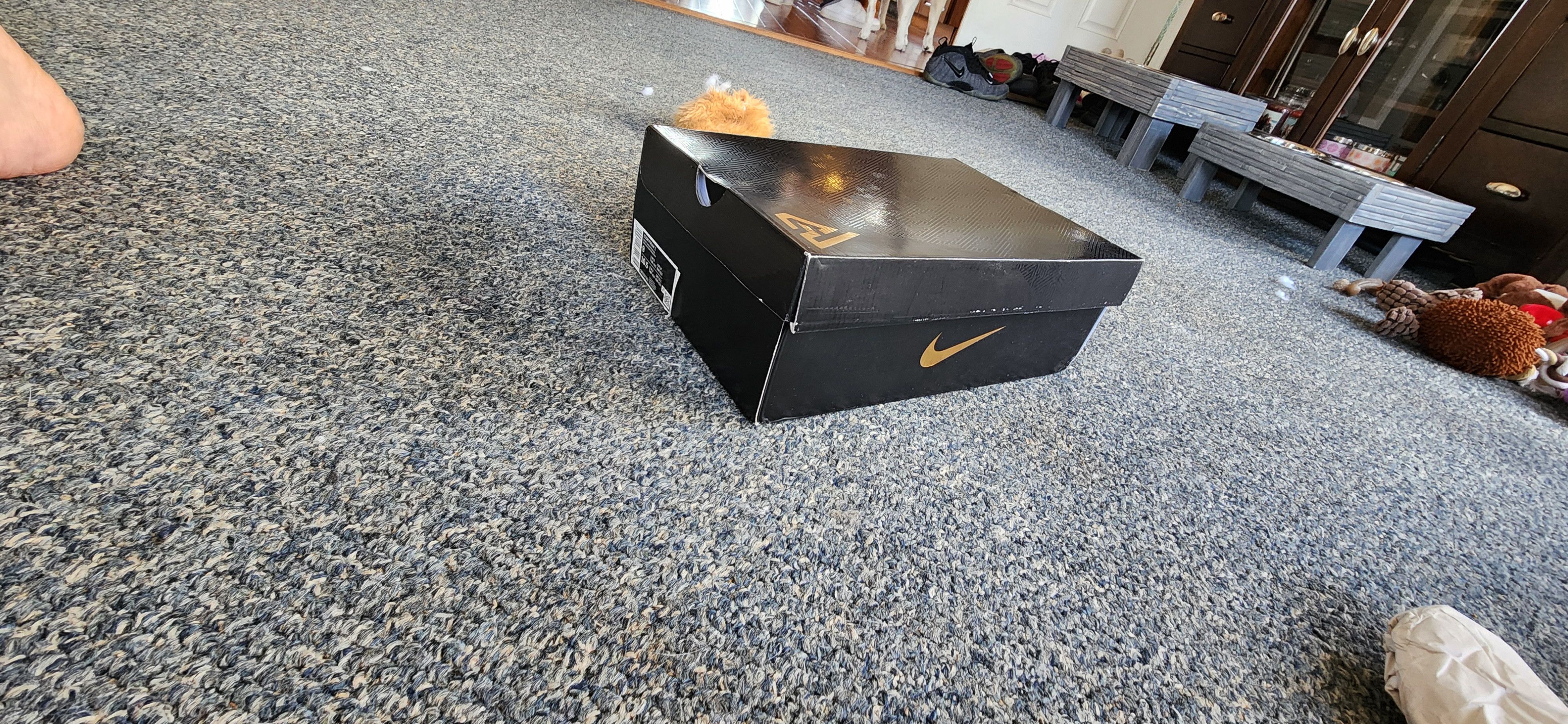 Nike Zoom Freak 2 Size US 9 / EU 42 - 25 Thumbnail