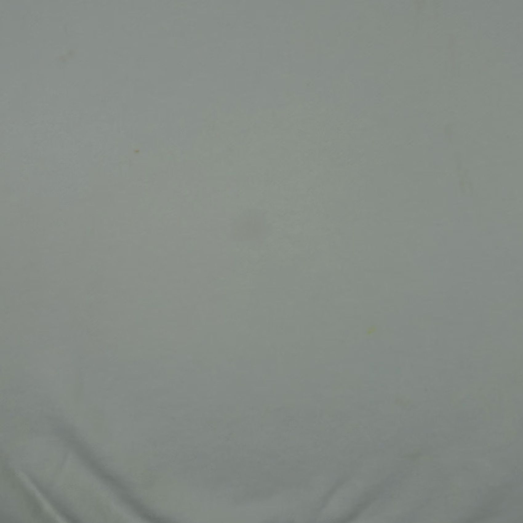 Elwood Elwood Sweatshirt Mens L White Organic Cotton Fleece Crewneck Pullover Thick Size US L / EU 52-54 / 3 - 4 Thumbnail