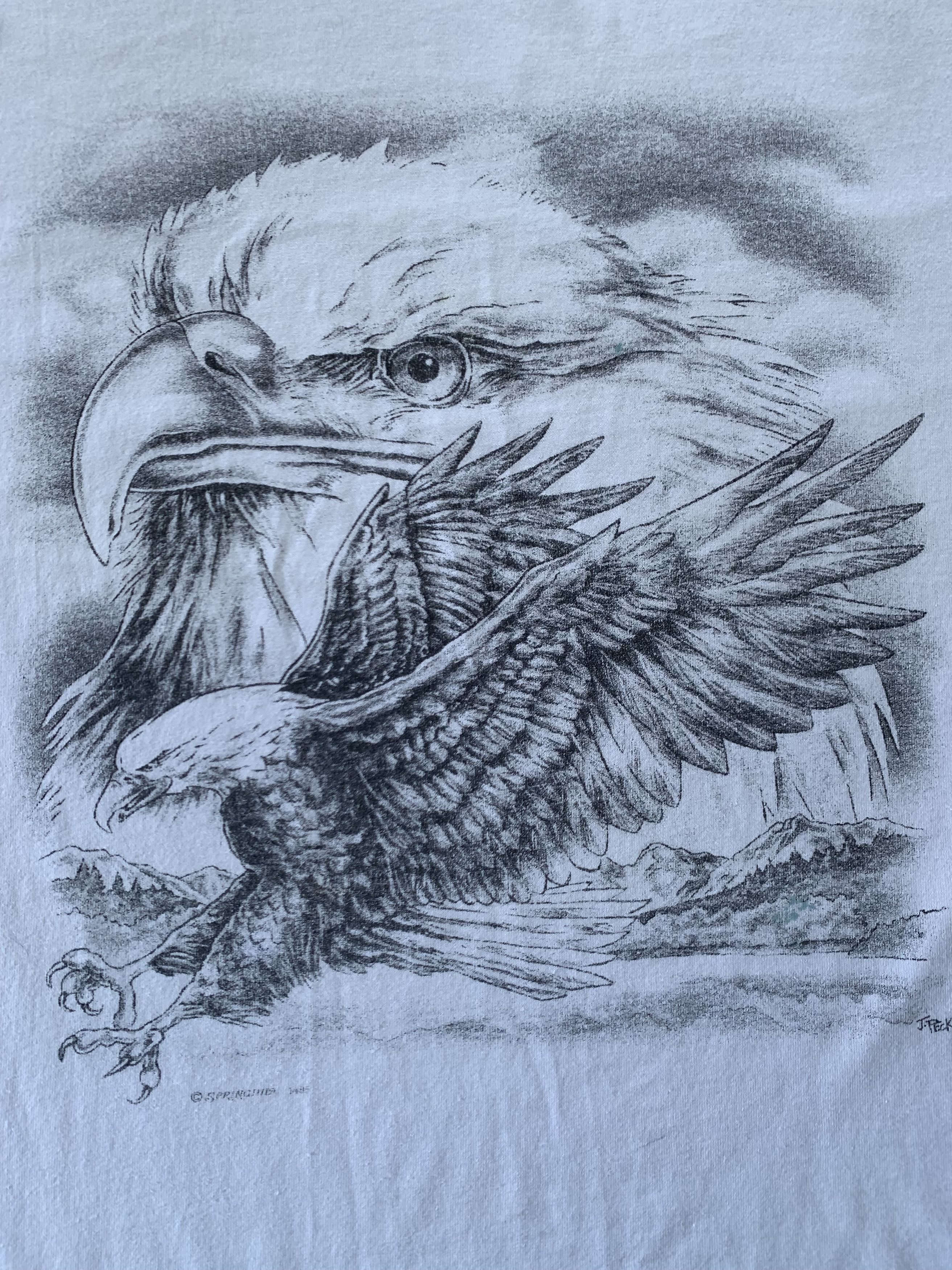 Habitat × Hanes × Vintage Vintage Rare Hanes Springhill Eagle T-Shirt 1985 Size US M / EU 48-50 / 2 - 6 Thumbnail