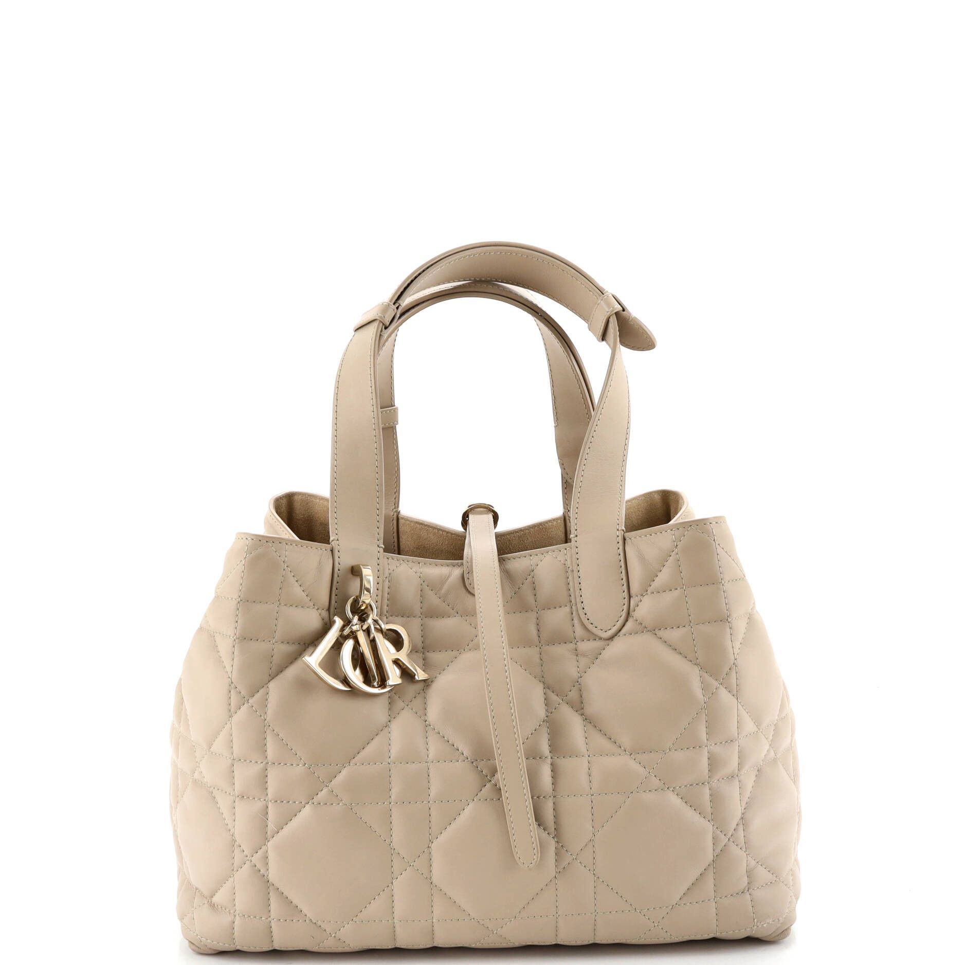 Dior Toujours Tote Bag Size ONE SIZE - 1 Thumbnail