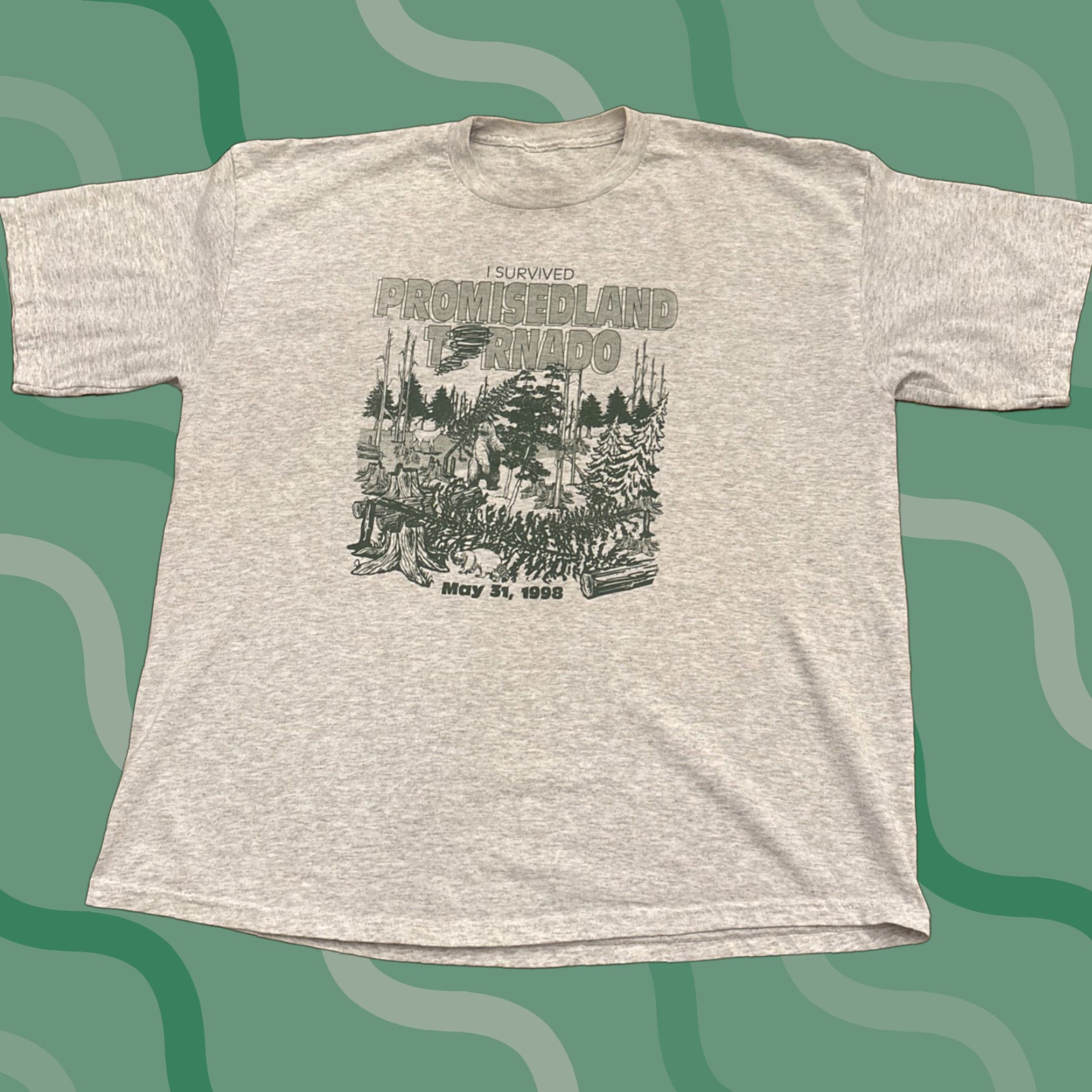 Vintage VINTAGE I Survived Promised Land Tornado 1998 Shirt Adult XL Gray Poconos Mens Size US XL / EU 56 / 4 - 1 Thumbnail