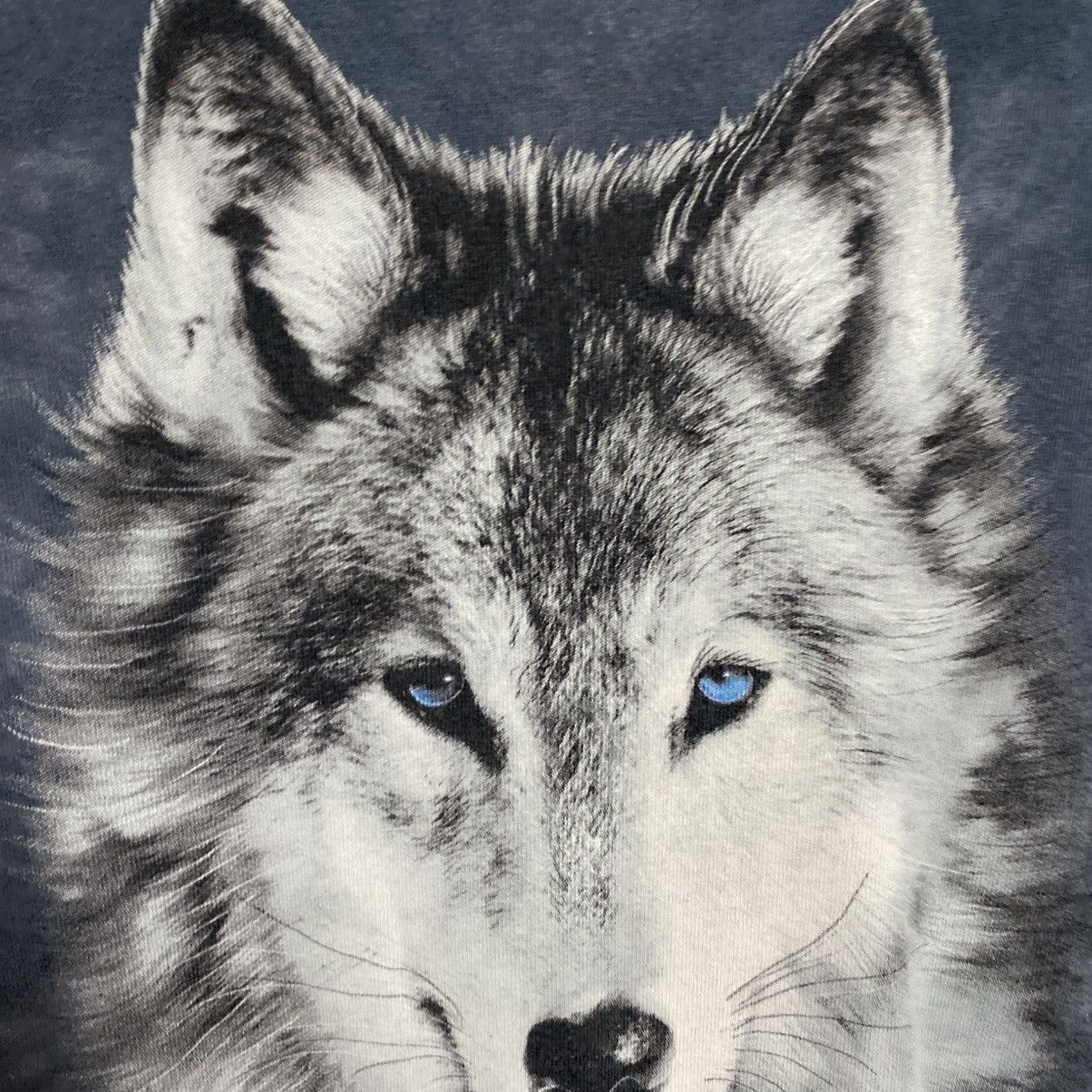 The Mountain Vintage The Mountain 2004 Wolf Big Logo graphic tee size L Size US L / EU 52-54 / 3 - 3 Thumbnail