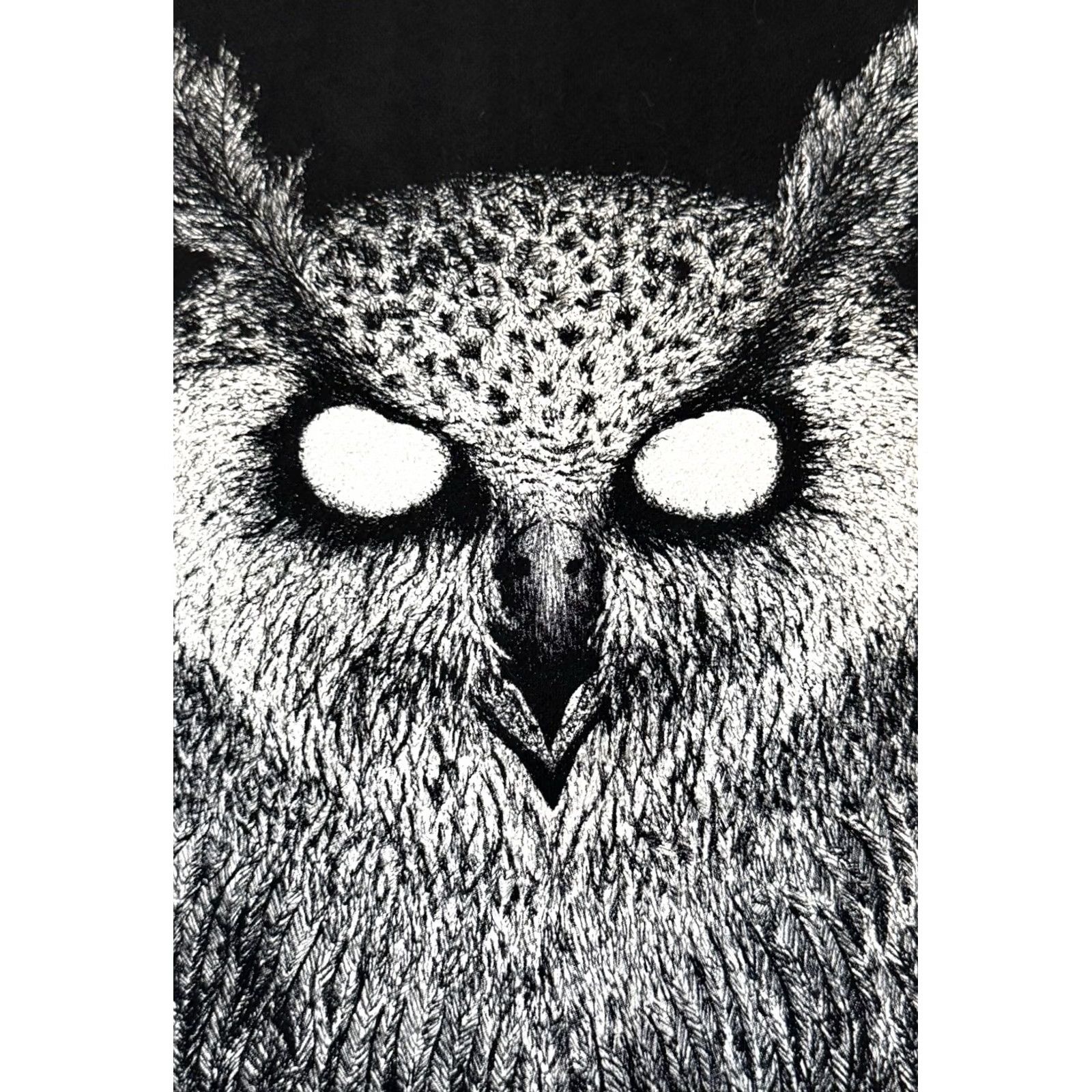 Vintage VINTAGE Kvelertak Owl Full-Zip Hoodie XL Mens Hoodie Black Graphic Print Size US XL / EU 56 / 4 - 5 Thumbnail