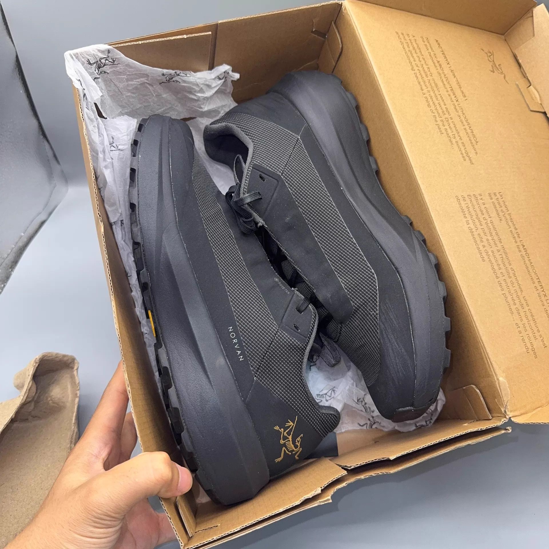 Arc'teryx Arcteryx NORVAN LD 4GTX Black 42 Shoes Size US 8.5 / EU 41-42 - 6 Thumbnail