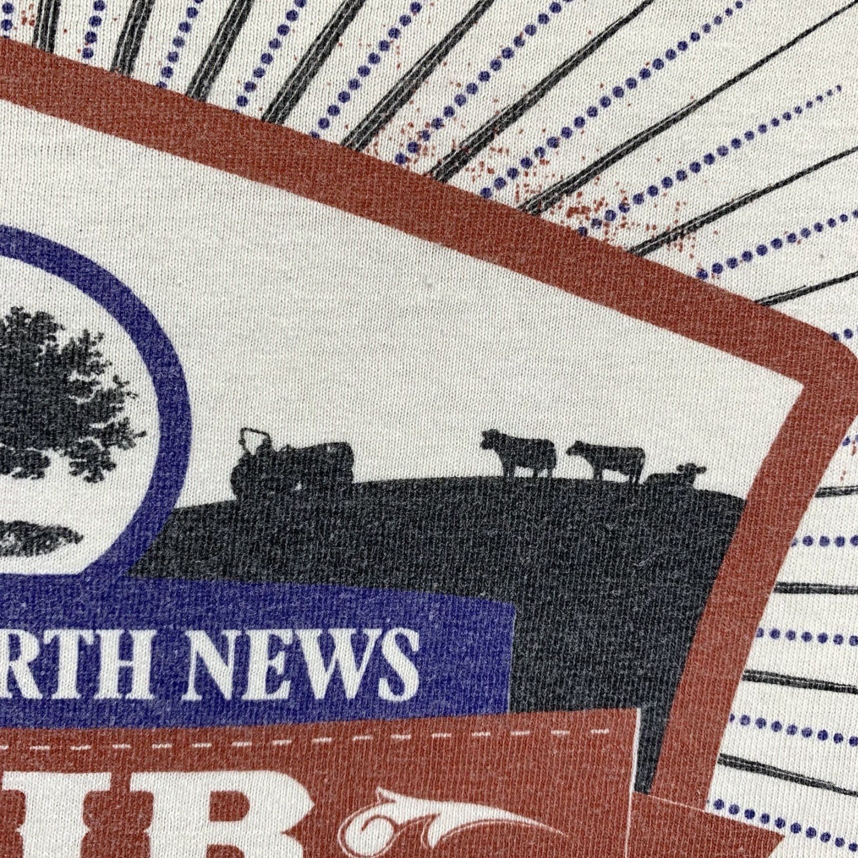 MOTHER VINTAGE Anvil Organic Mother Earth News Fair Shirt T-Shirt Graphic Print Unisex Adult L White Eco Recycle Animal 2000s Size US L / EU 52-54 / 3 - 7 Thumbnail