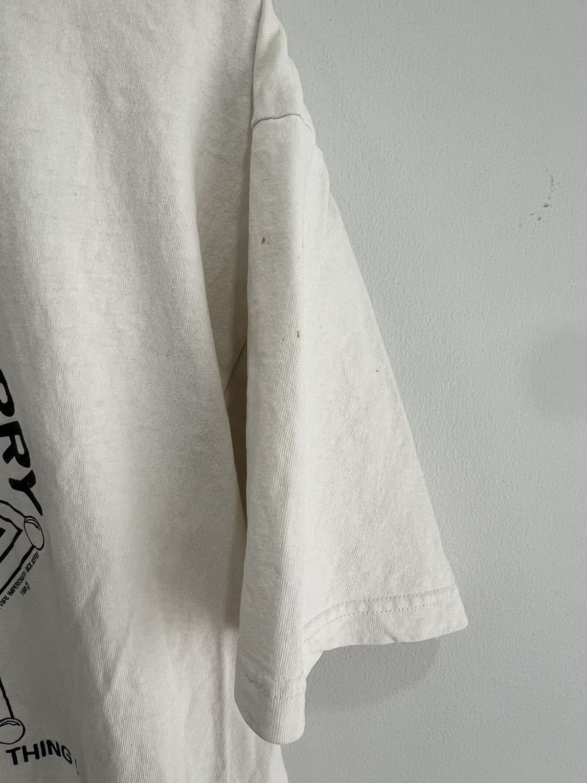 Vintage Vintage Andy Griffith Spirit Of Mayberry Tee Shirt Rare Size US L / EU 52-54 / 3 - 4 Thumbnail