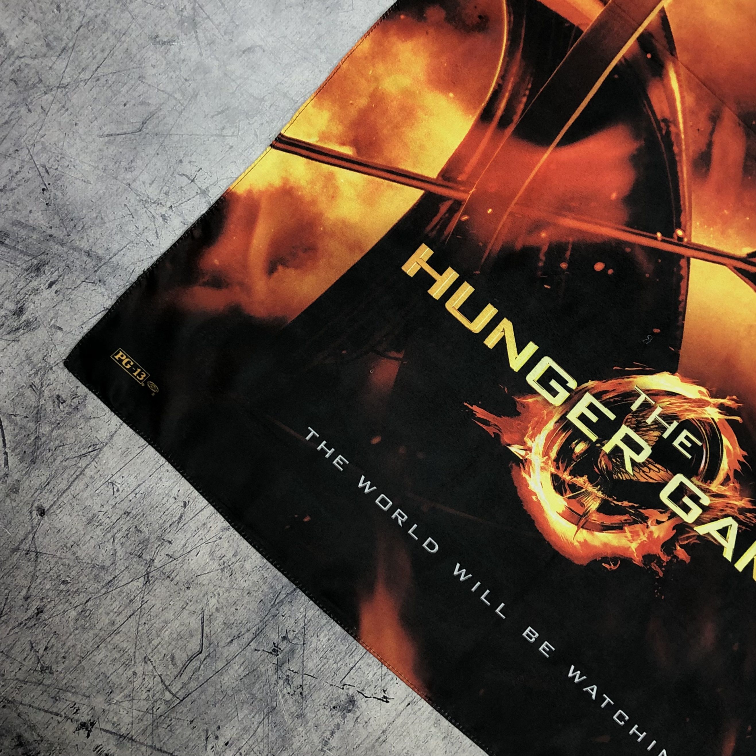 Expert Horror 2012 Hunger Games Dystopian Flag Poster Size ONE SIZE - 5 Thumbnail