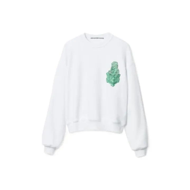 Alexander Wang Alexander Wang SS22 Crew Neck Sweatshirt 0079 Size S / US 4 / IT 40 - 1 Thumbnail