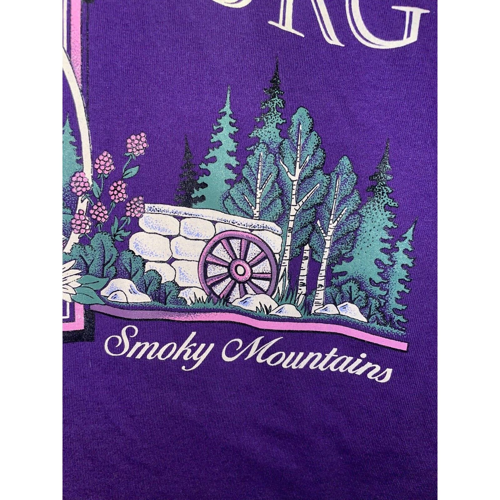 Jerzees 90s Vintage Jerzees Gatlinburg Smoky Mountains Shirt VTG L Size US L / EU 52-54 / 3 - 6 Thumbnail