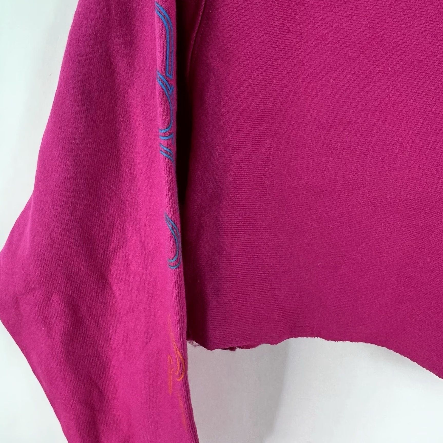 Champion Champion Reverse Weave Hoodie Womens L Pink Spell Out Cropped Pullover Sweatshirt Size L / US 10 / IT 46 - 4 Thumbnail