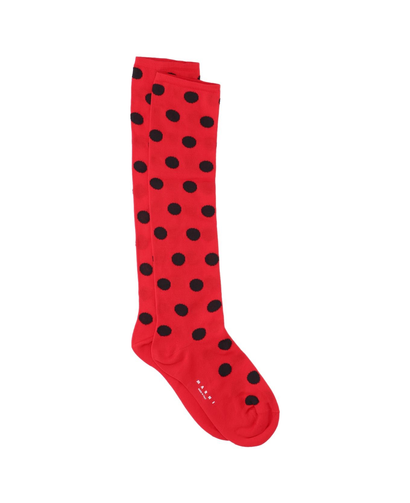 Marni o1w1db10125 Size:OS/Polka Dot Socks in Red Size ONE SIZE - 1 Thumbnail