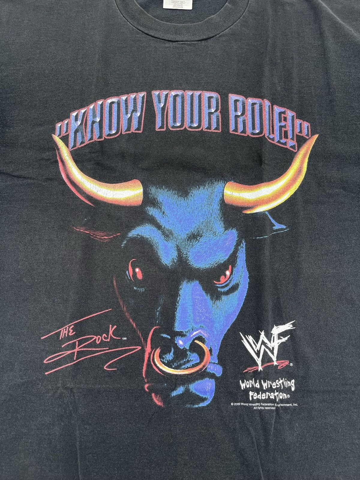 Vintage The Rock Vintage tee | Grailed