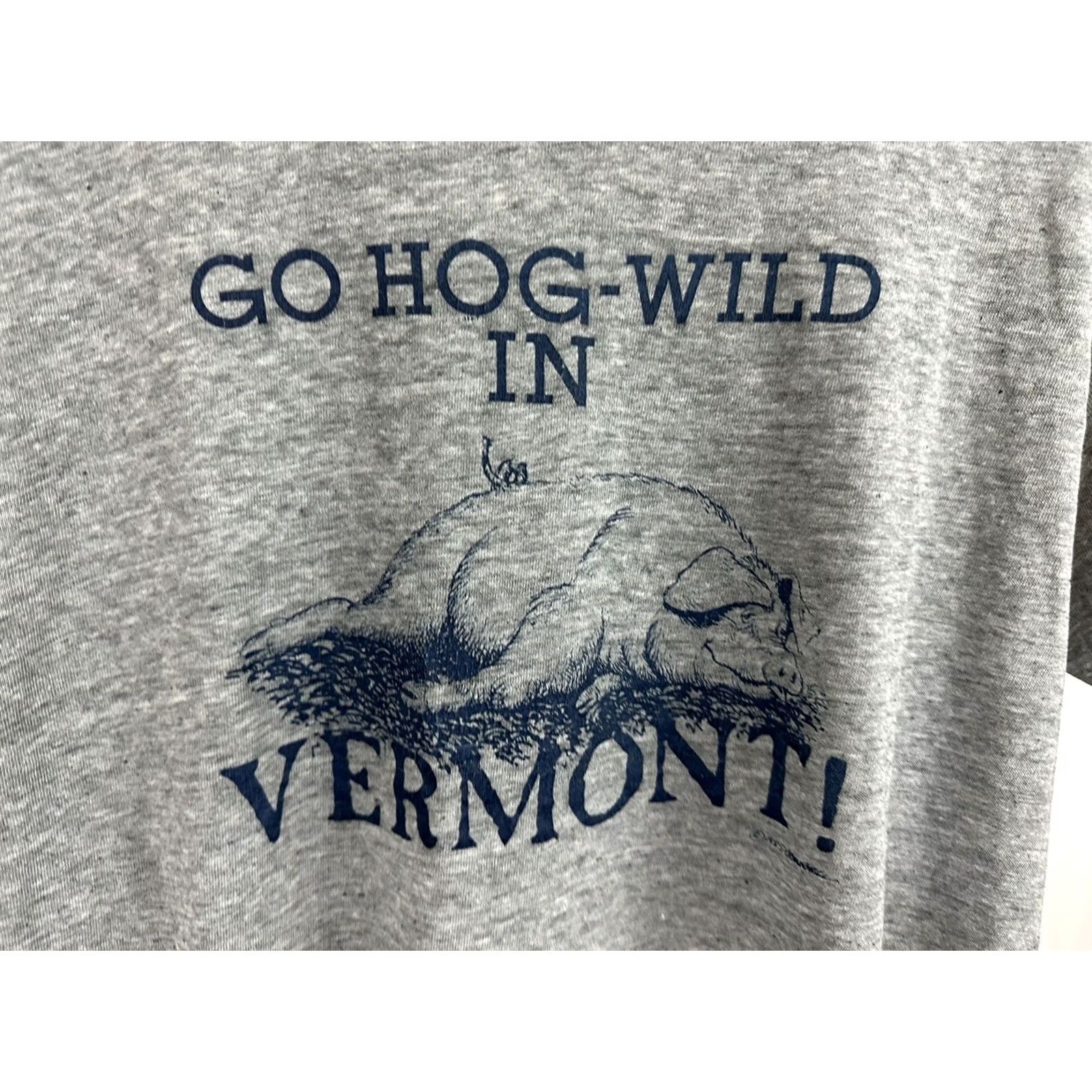 Hanes VINTAGE Hanes 80s T-Shirt L Gray USA Go HOG Wild In Vermont Pig Paper Thin Burnout Mens Size US L / EU 52-54 / 3 - 4 Thumbnail