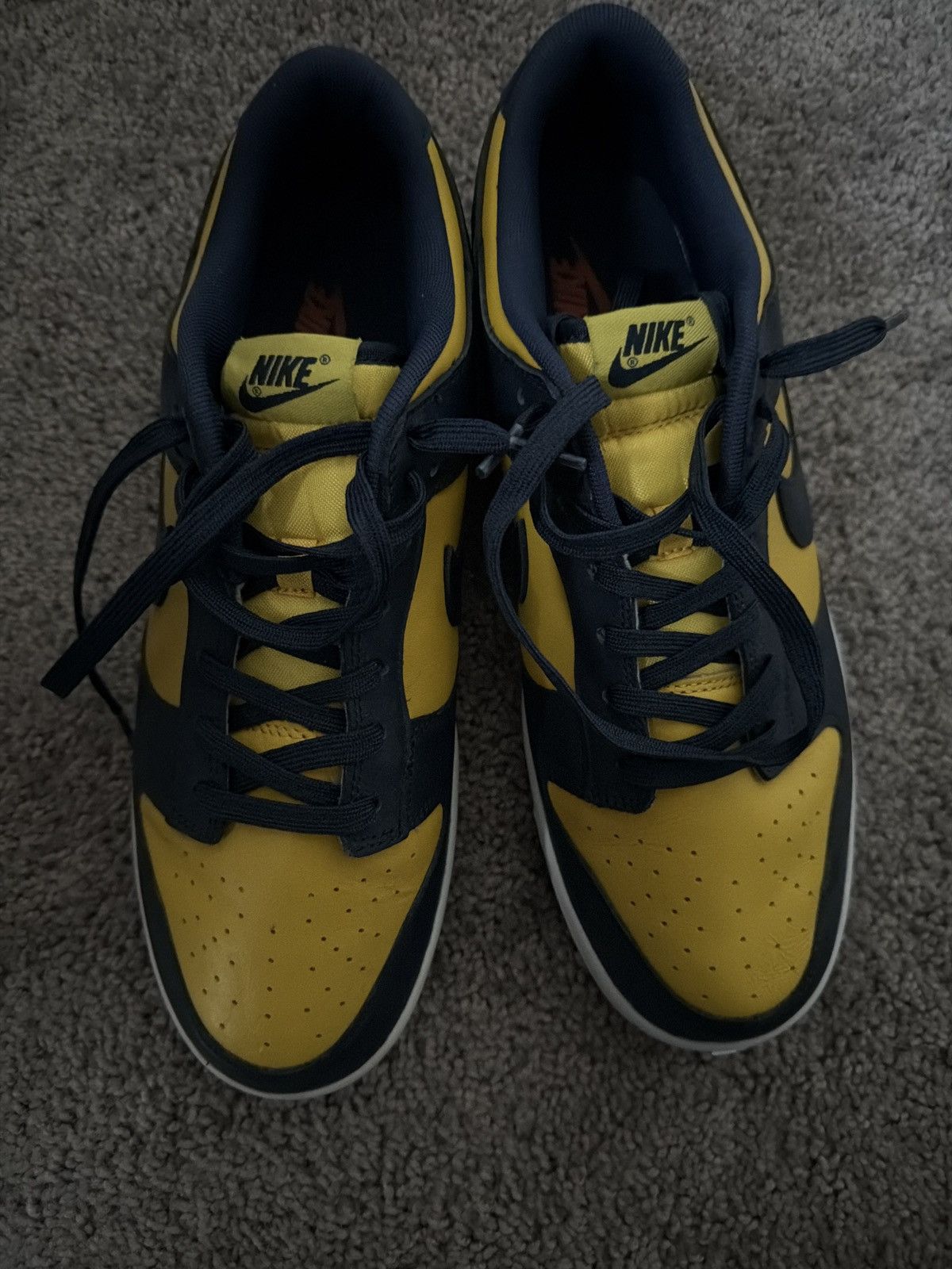 Nike Nike michigan dunks Size US 12 / EU 45 - 8 Thumbnail