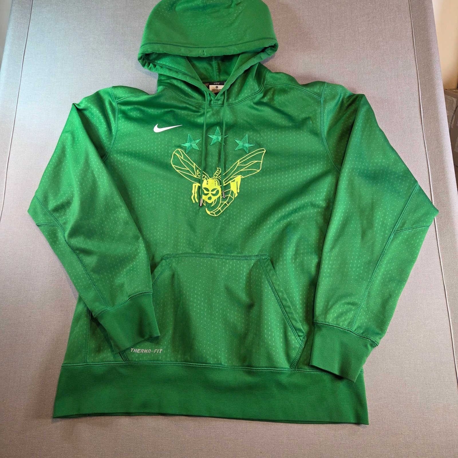 Nike Nike Therma-Fit Hoodie XL Green Rare Insect Graphic Size US XL / EU 56 / 4 - 1 Thumbnail