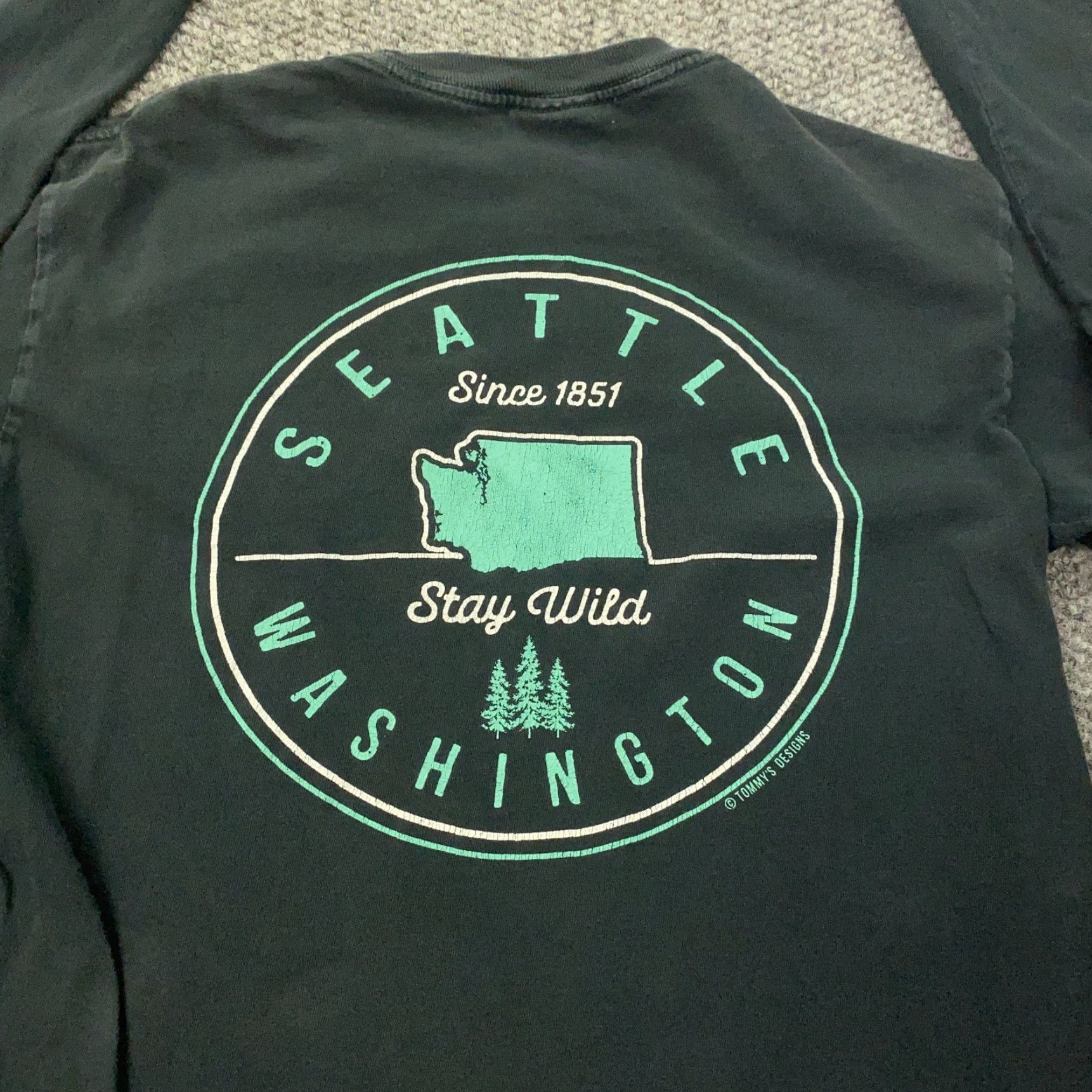 Comfort Colors Comfort Colors Shirt Mens Small Black Seattle WA Pacific Northwest Stay Wild Size US S / EU 44-46 / 1 - 2 Thumbnail