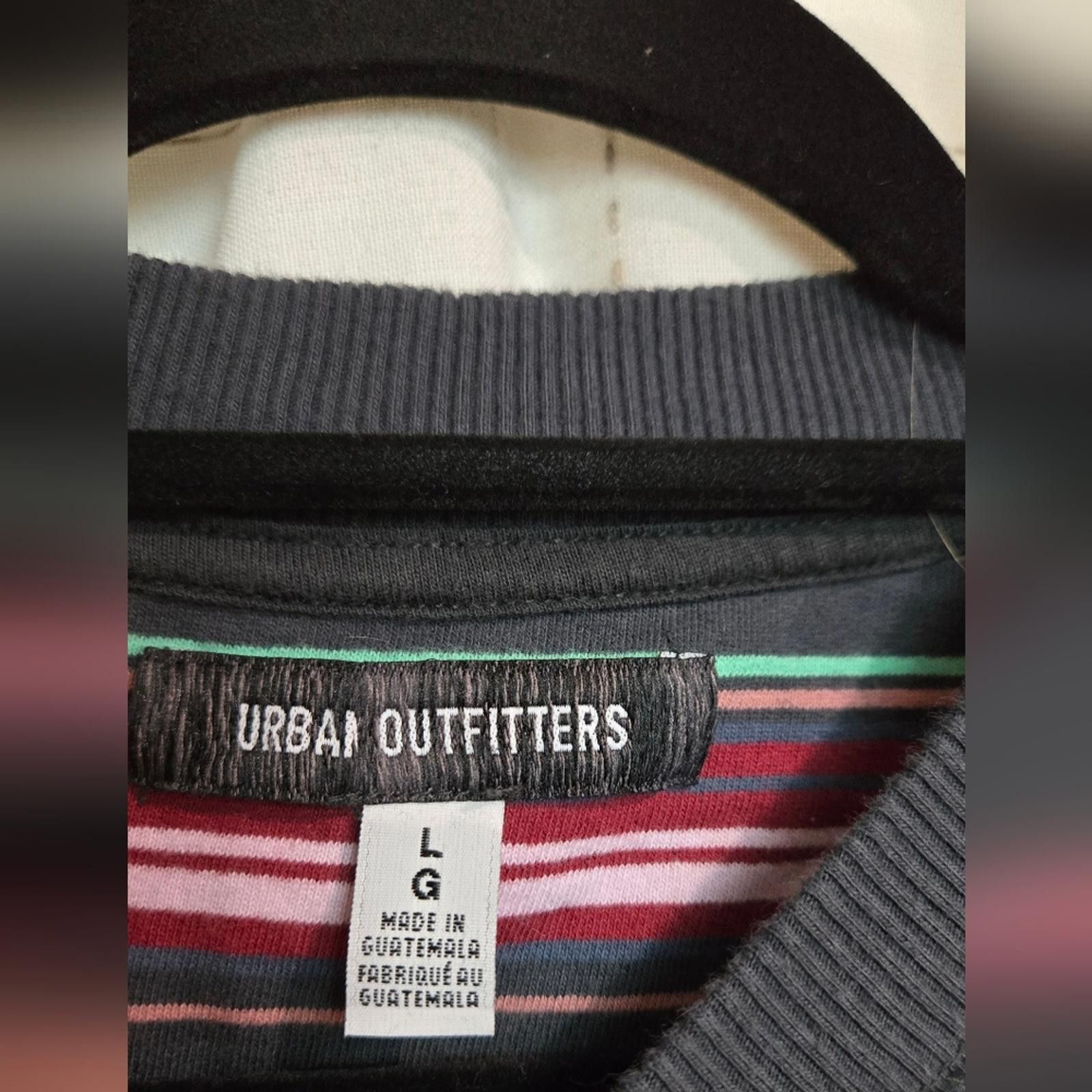 Urban Outfitters Urban Outfitters Crewneck Size L / US 10 / IT 46 - 2 Thumbnail