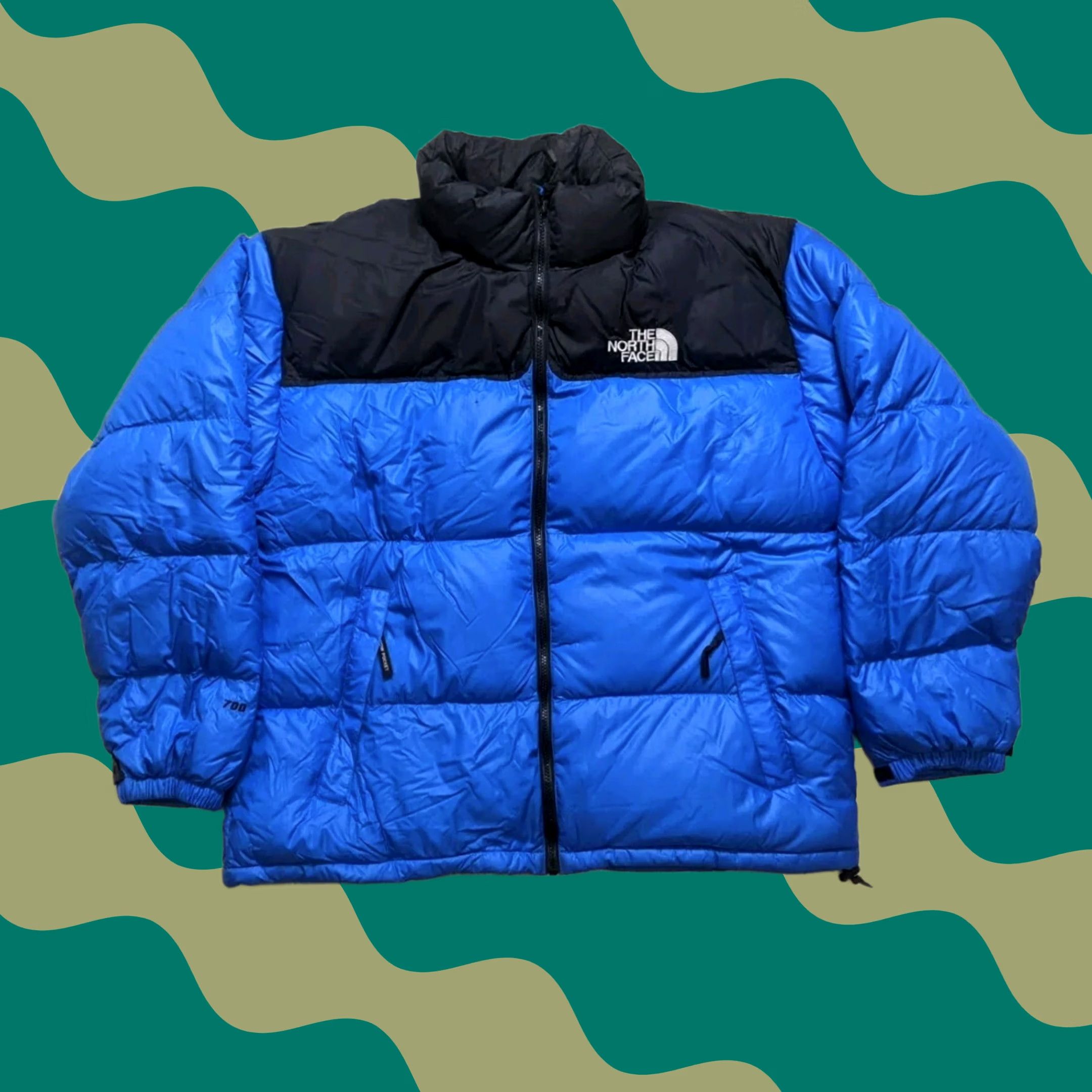 The North Face The North Face 700 Metro Down Puffer Zip Up Jacket