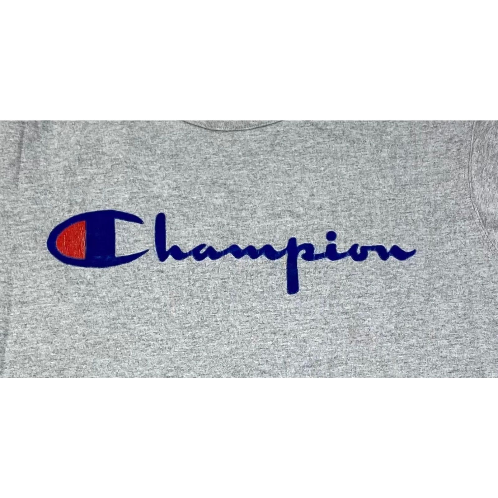 Champion VINTAGE Champion T Shirt Mens M Gray Velvet Logo Short Sleeve Casual 10542 Size US M / EU 48-50 / 2 - 2 Thumbnail