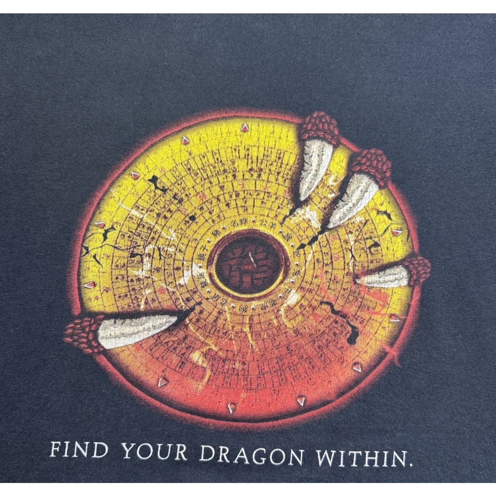 Gildan 2008 EON dragoneye reborn Book t shirt Men Size Medium Size US M / EU 48-50 / 2 - 4 Thumbnail