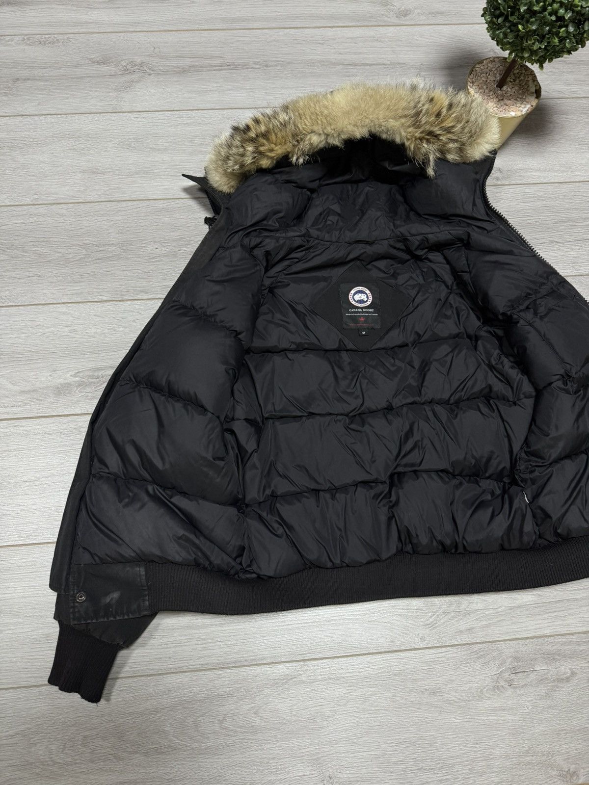 Canada Goose Canada Goose Chilliwack bomber down jacket fur Size US M / EU 48-50 / 2 - 10 Thumbnail