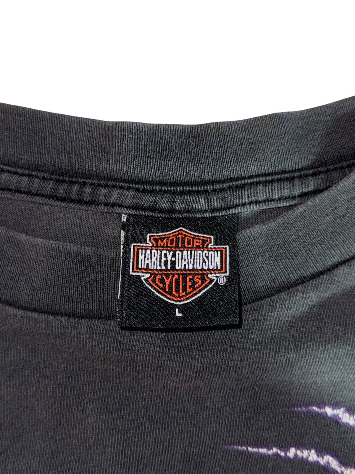 Harley Davidson Harley Davidson Faded Vintage Thunder Eagle Long Sleeve Tee Size US L / EU 52-54 / 3 - 7 Thumbnail