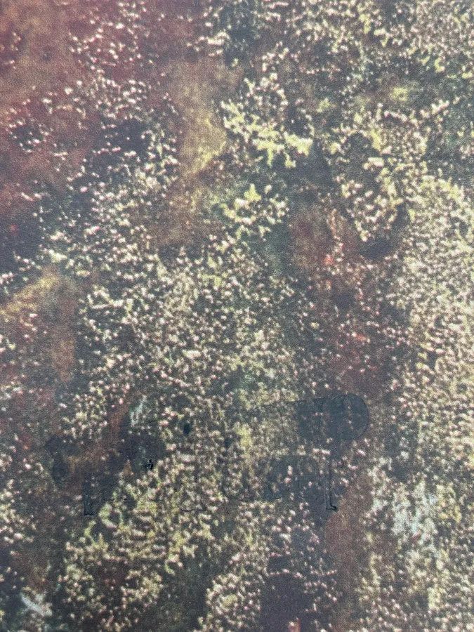 Jean Paul Gaultier AW1995 Jean Paul Gaultier World Eroded Green Leather Wallet Size ONE SIZE - 5 Thumbnail