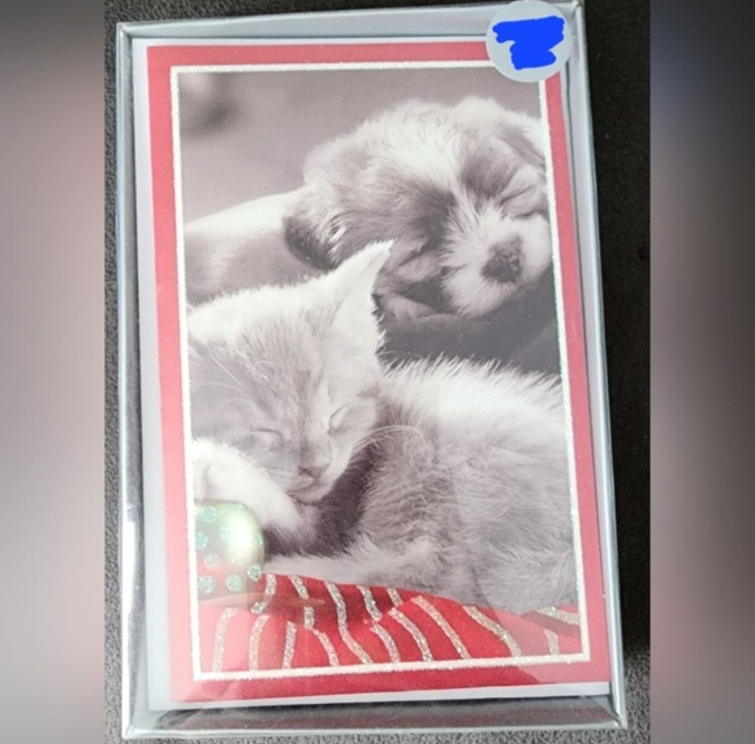 Other American Greetings Puppy Kitten Holiday Boxed Cards 6 Count Size ONE SIZE - 1 Thumbnail