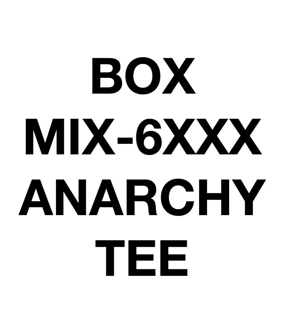 Gallery Dept. o1rshd1 Q:7 / Anarchy Long Sleeve Tee T-Shirt in Black Size US L / EU 52-54 / 3 - 18 Thumbnail