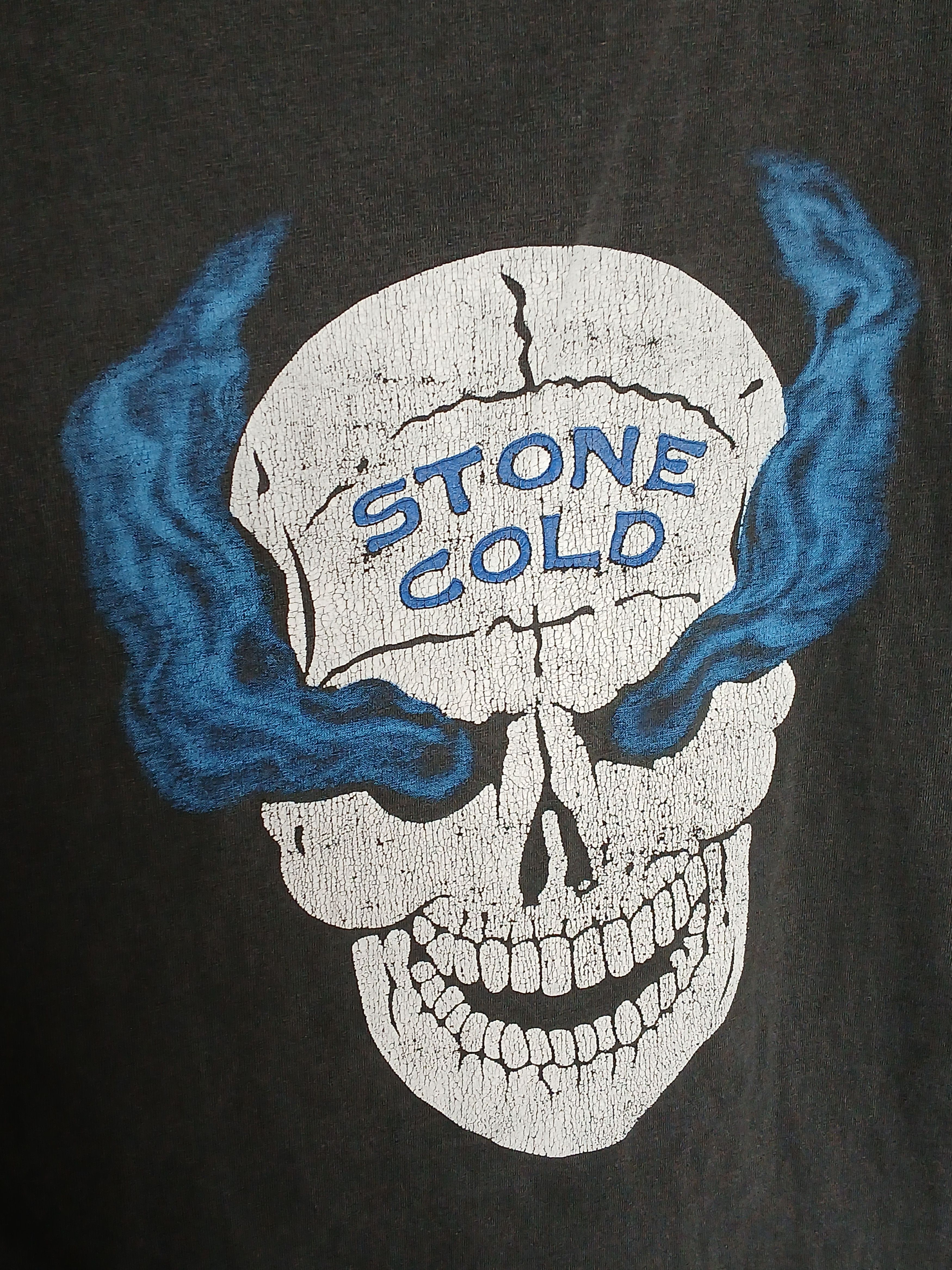 Vintage × WWE × WWF Vintage WWE Stone Cold Wrestling T-Shirt Size US L / EU 52-54 / 3 - 3 Thumbnail