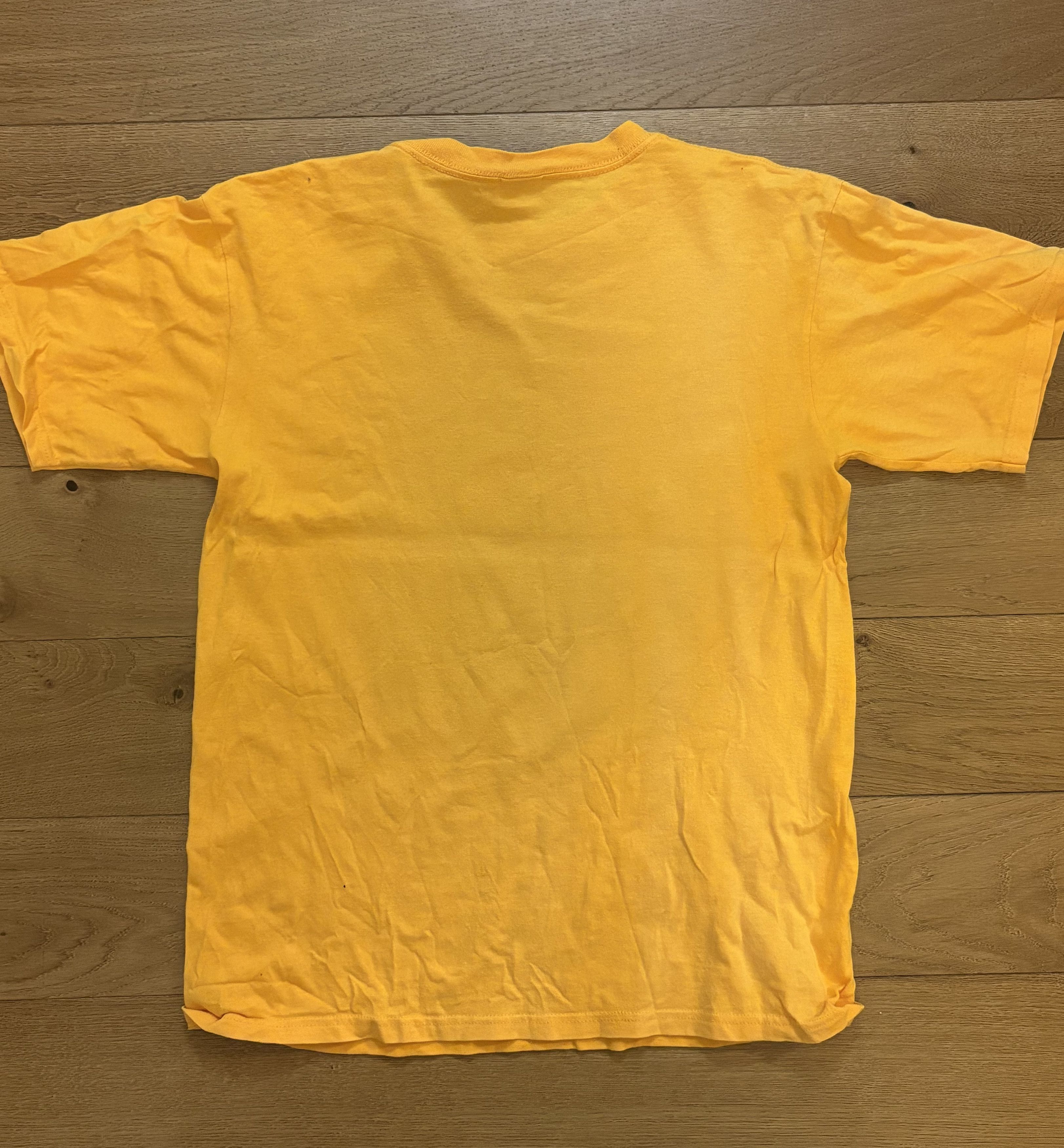 Band Tees Sonic Youth Vintage 00s “Live At The Pyramid” Anvil Tee Size US M / EU 48-50 / 2 - 10 Thumbnail