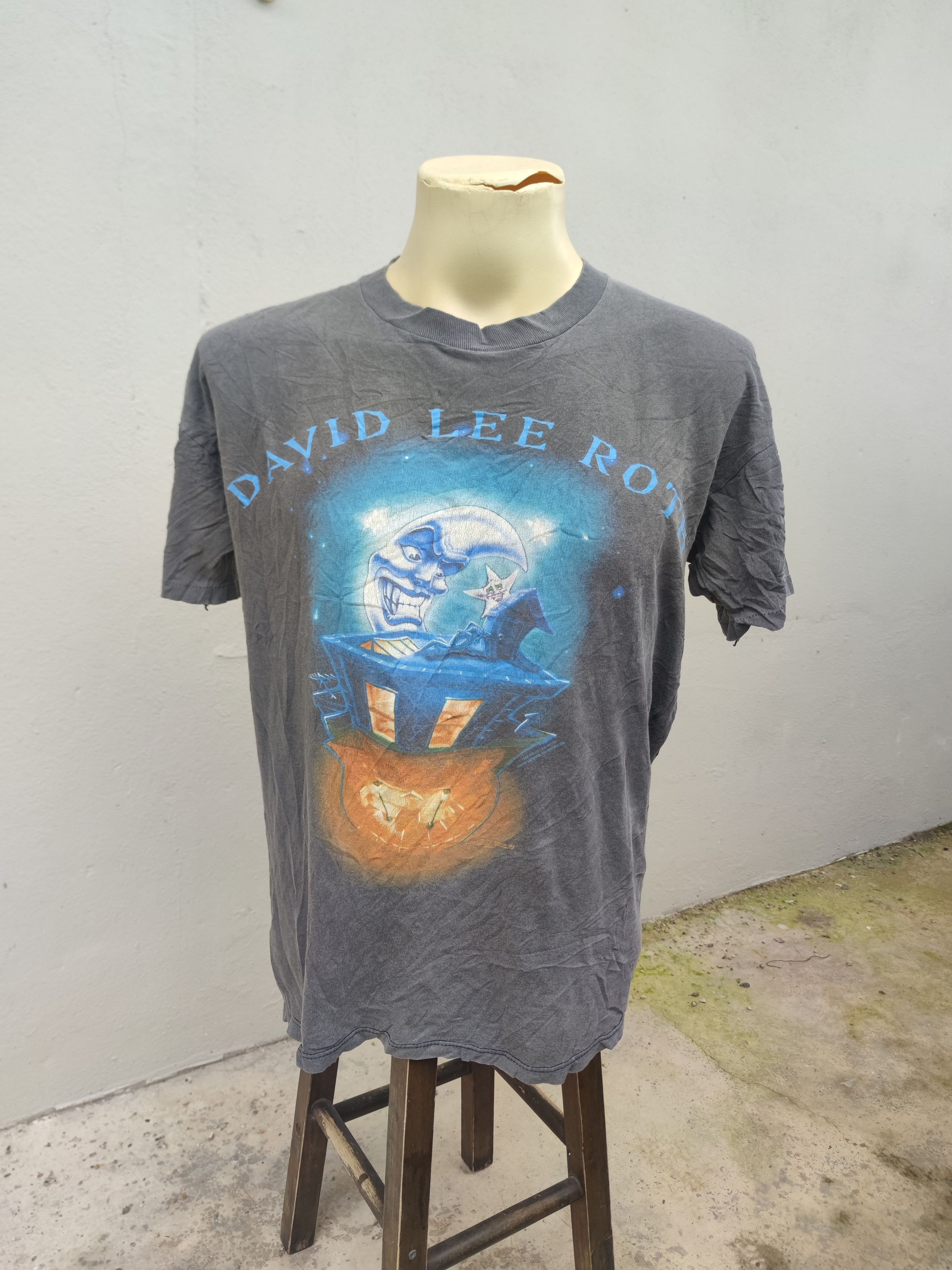 Band Tees Vintage 1994 David Lee Roth The Entire World Tour Tee Size US L / EU 52-54 / 3 - 8 Thumbnail