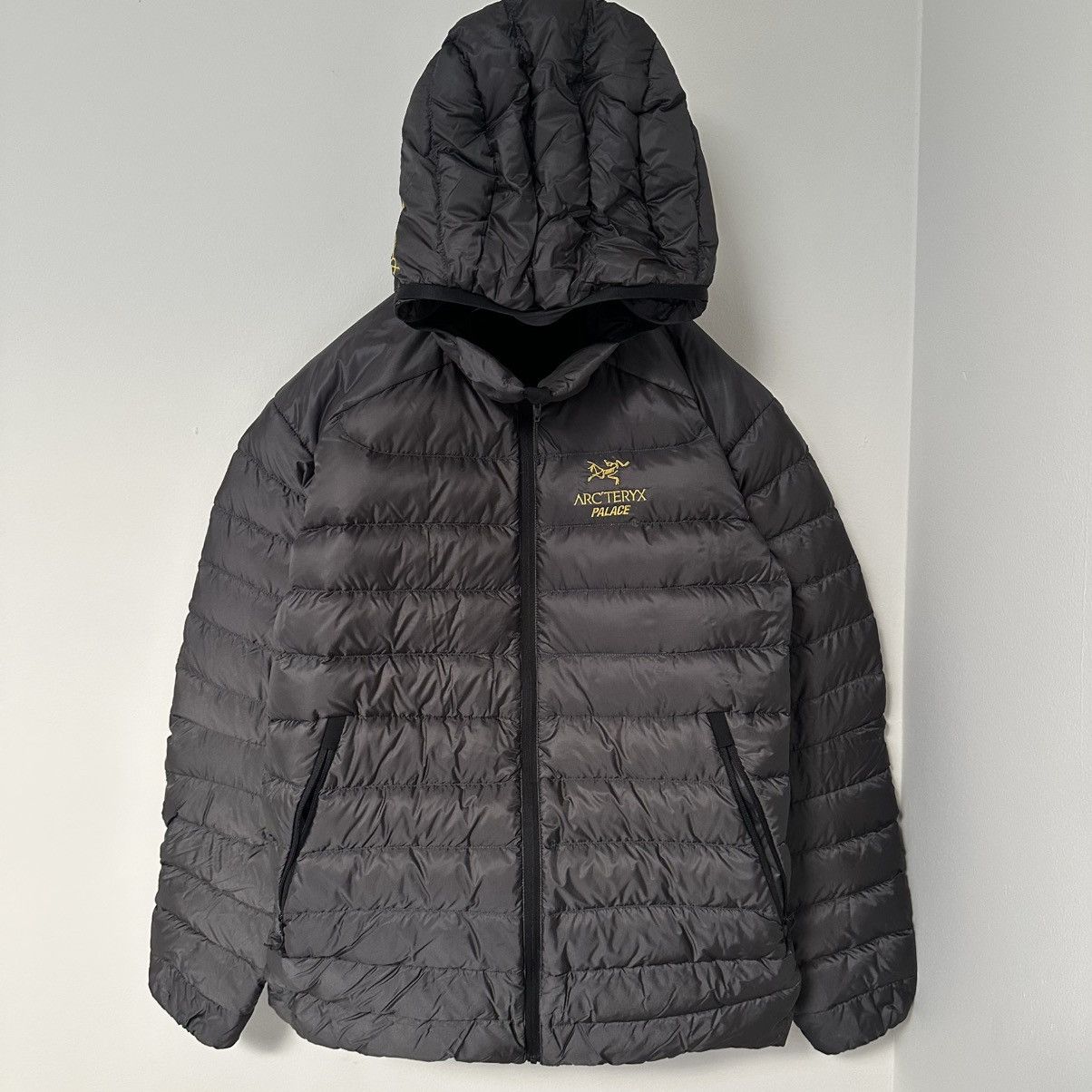 Arc'teryx × Palace Arc'teryx x Palace Alpha SV FW20 | Grailed